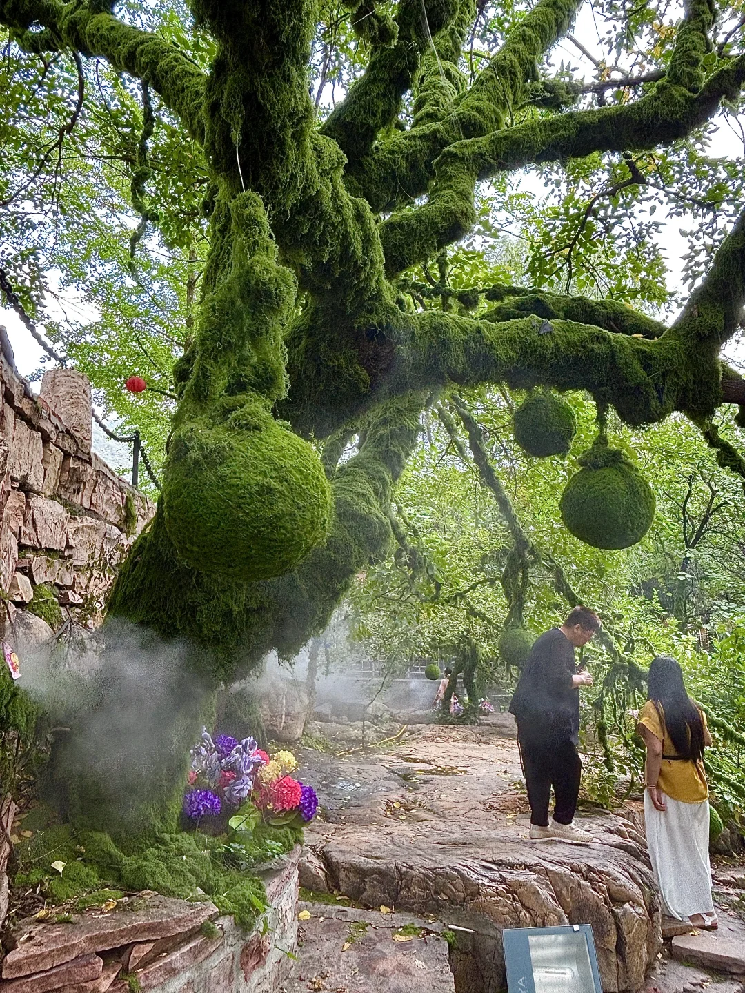 啊啊啊这里也太好拍了，邯郸的绿野仙踪