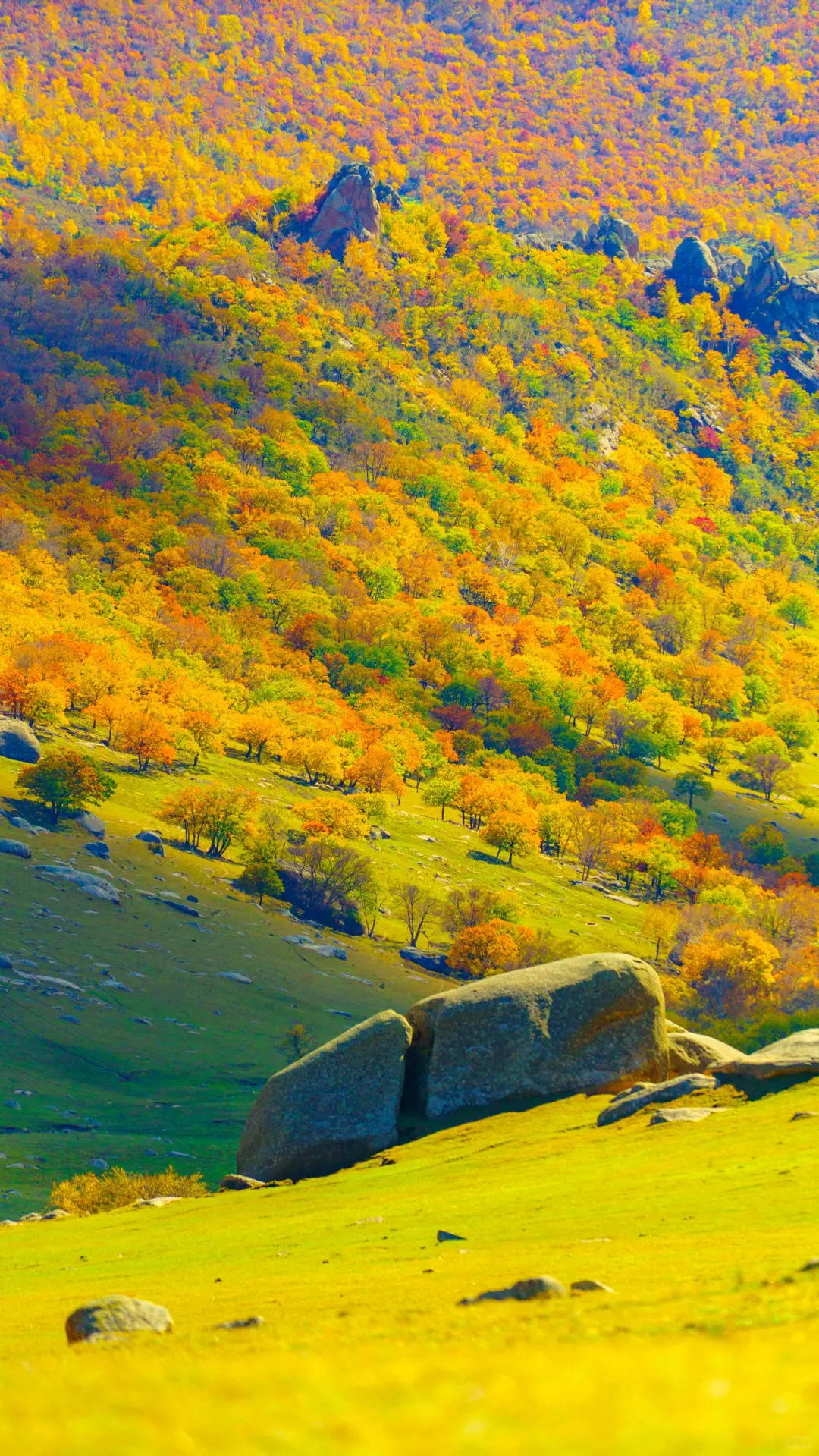 接下来的这里🍁将进入封神级别的秋景模式