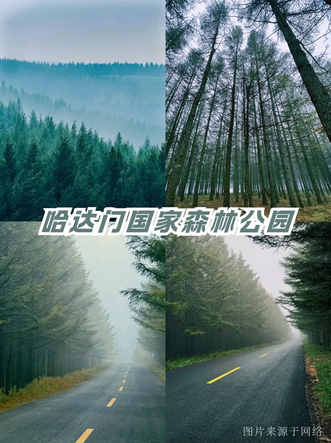 端午吸氧计划🌿呼和浩特8处治愈系秘境