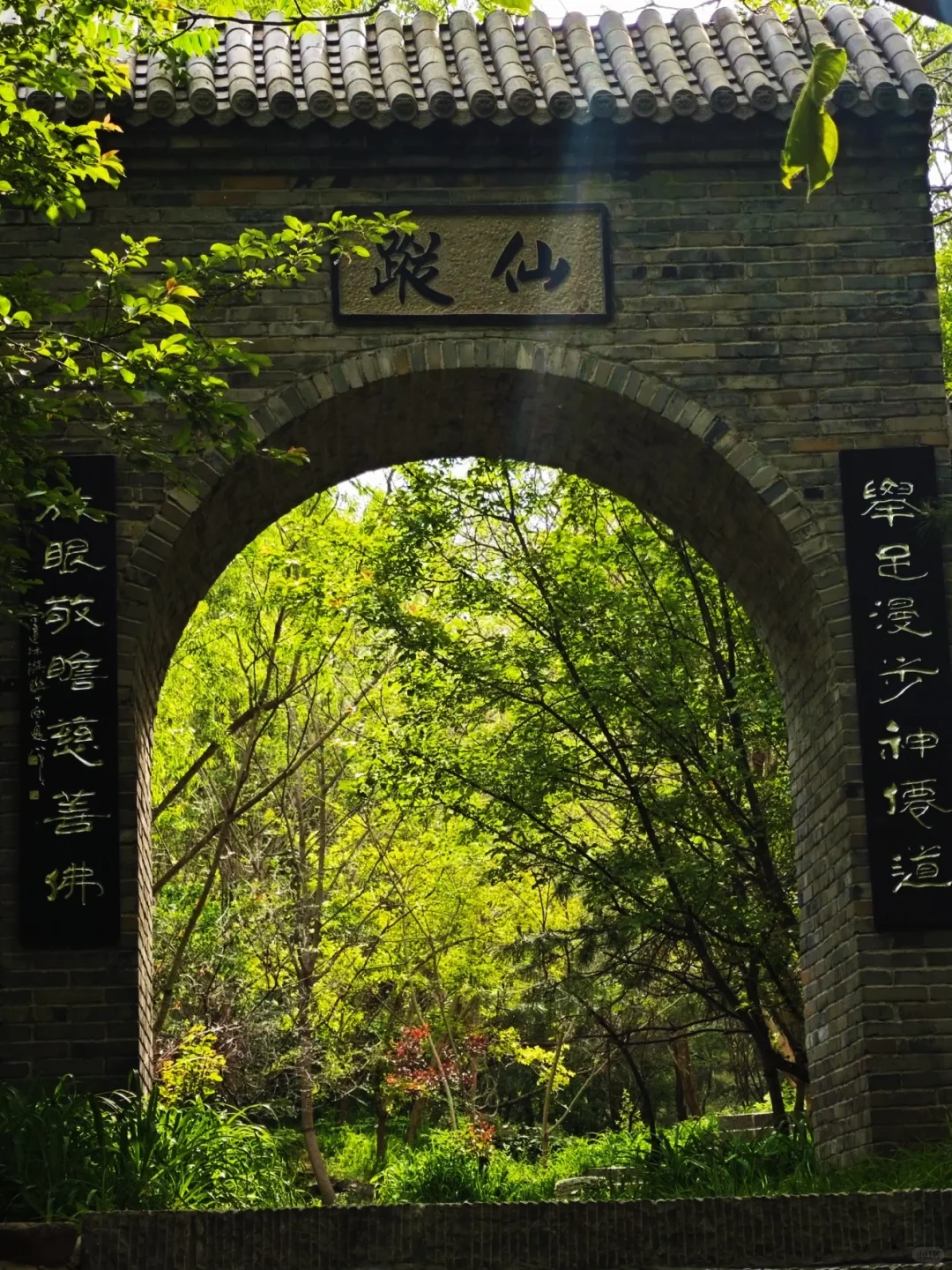 夏日梦幻，误入石家庄版绿野仙踪💚