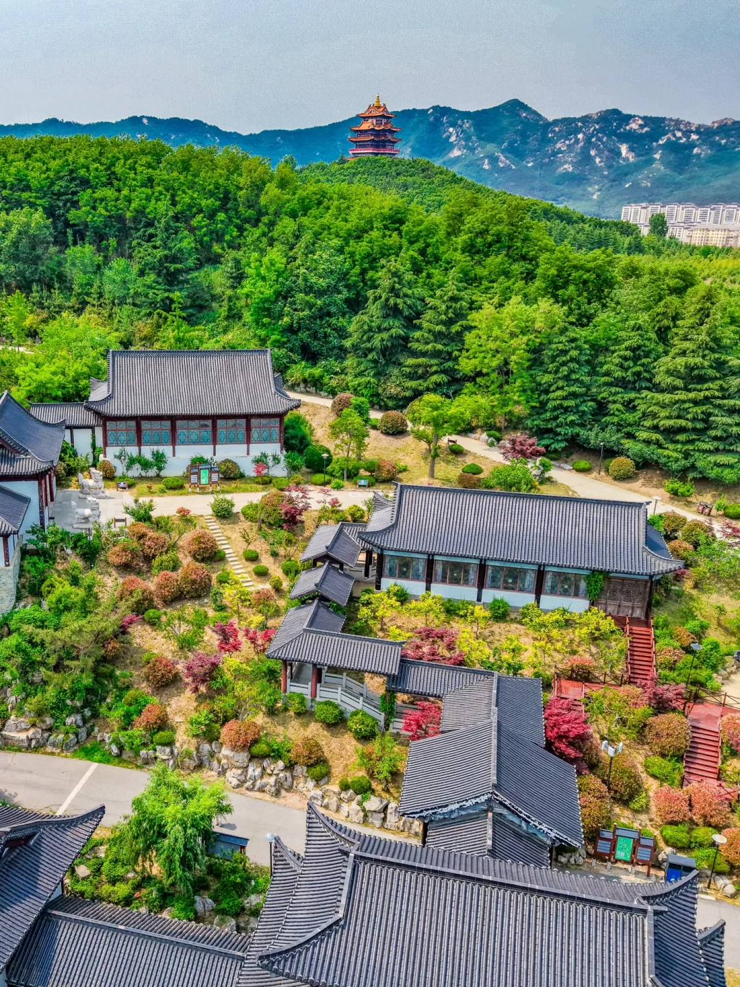 人生建议：带娃来威海一定要留一天给这里❗️