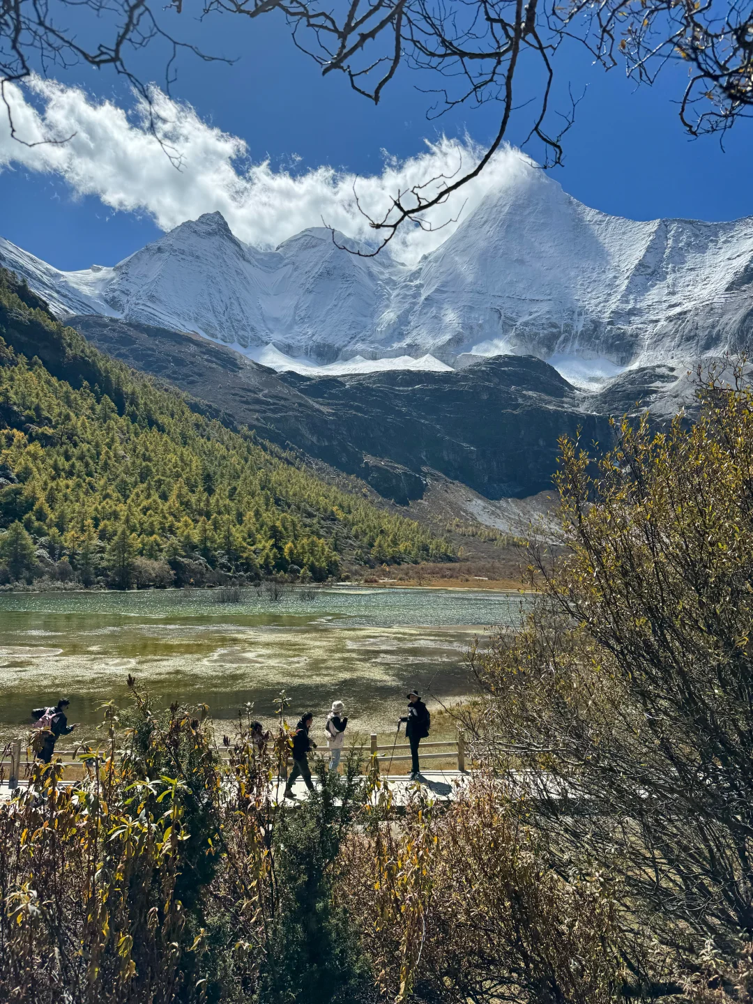 实话难听😓但这就是稻城亚丁10.1国庆现状。。