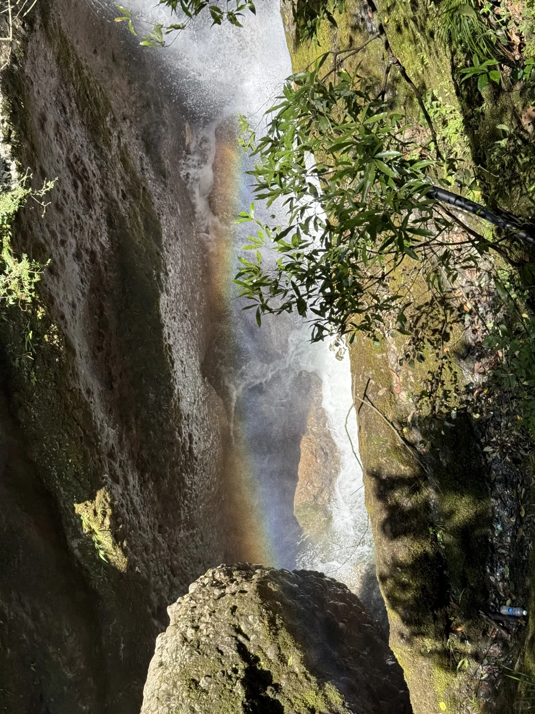 7.27日青城山后山一日游，已老实🥹