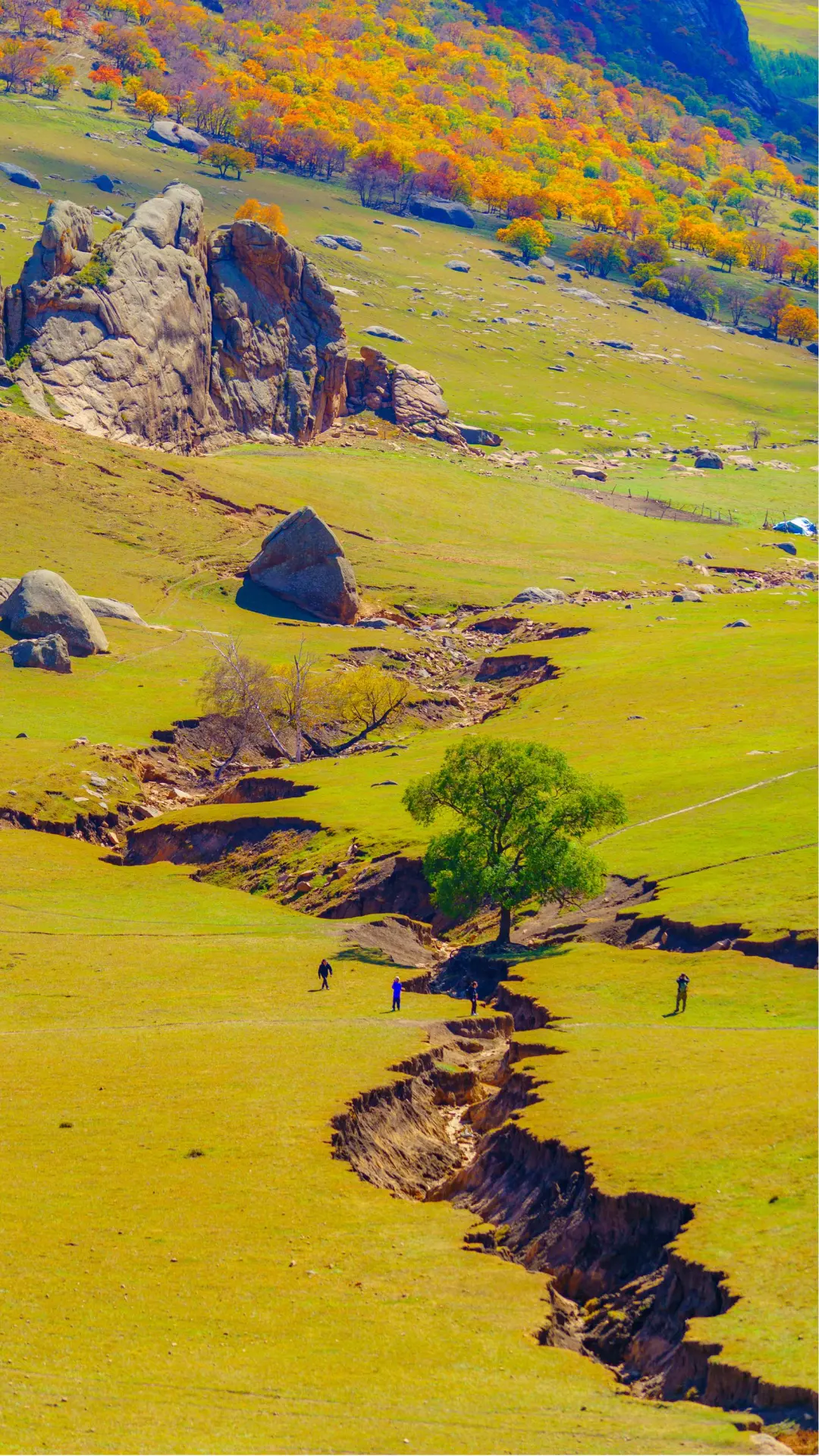 接下来的这里🍁将进入封神级别的秋景模式