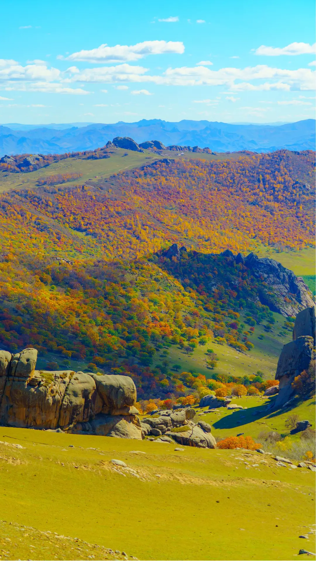 接下来的这里🍁将进入封神级别的秋景模式