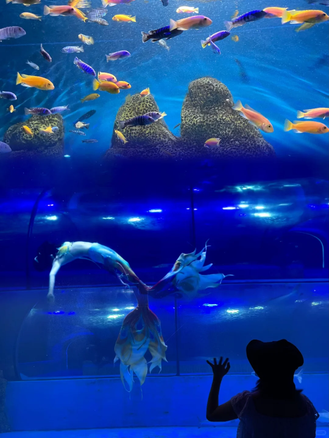 玩疯了❗️韶关云门山两日游攻略❗️