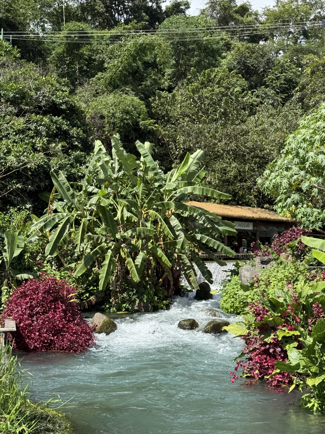 腾冲|这地方好好玩啊,下次还来