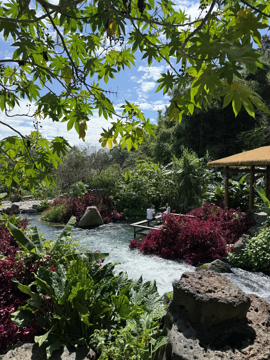 腾冲|这地方好好玩啊,下次还来