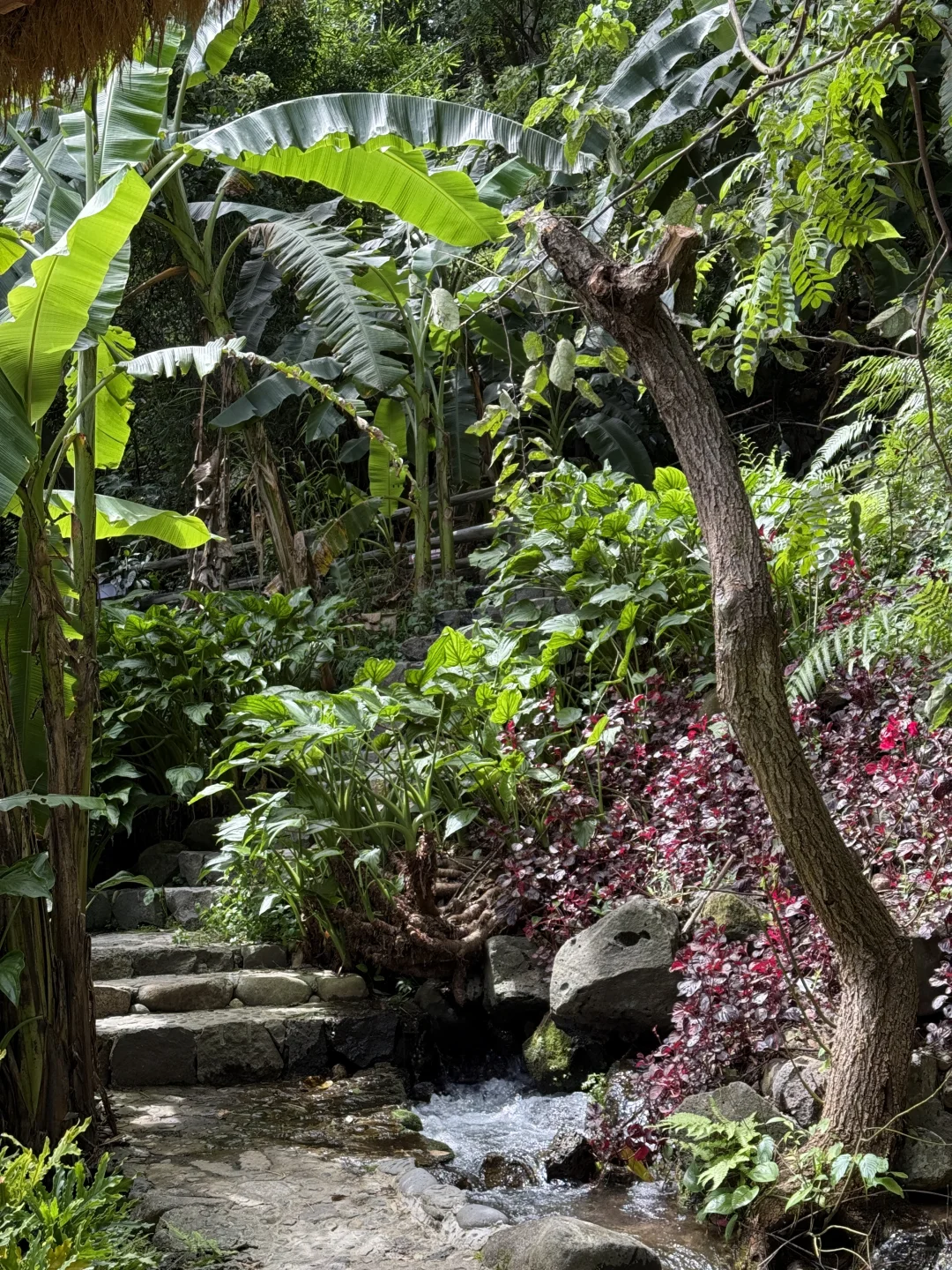 腾冲|这地方好好玩啊,下次还来