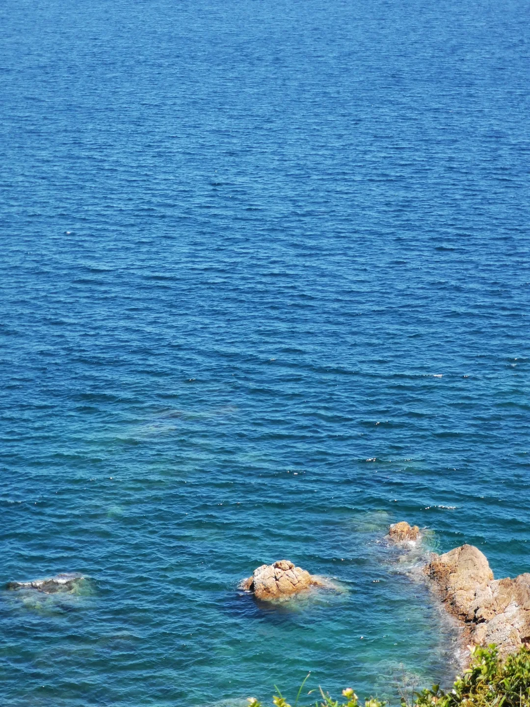 我又一个人跟团旅游了，真爽！