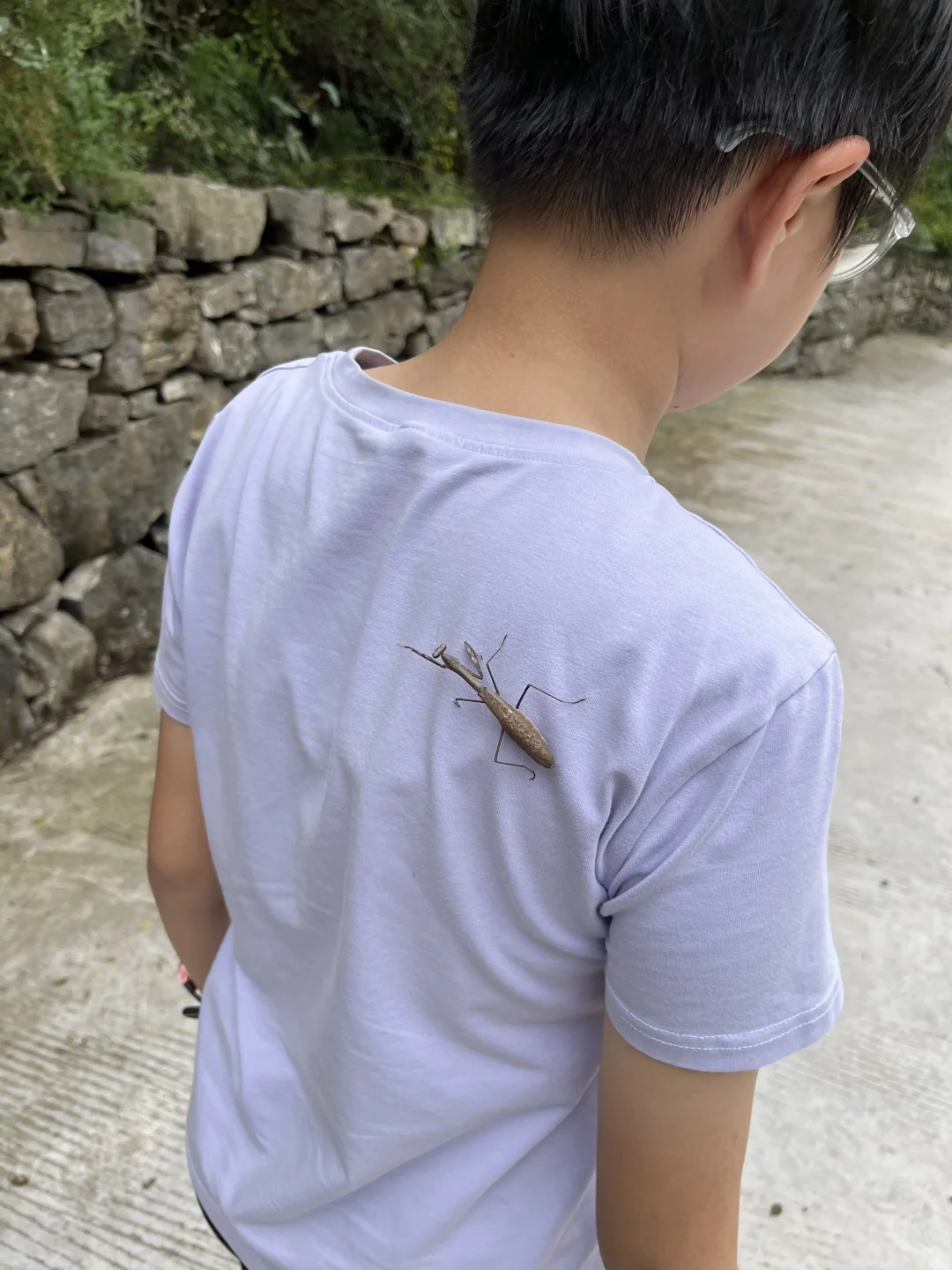 石家庄非常适合遛娃的景区，又添一个