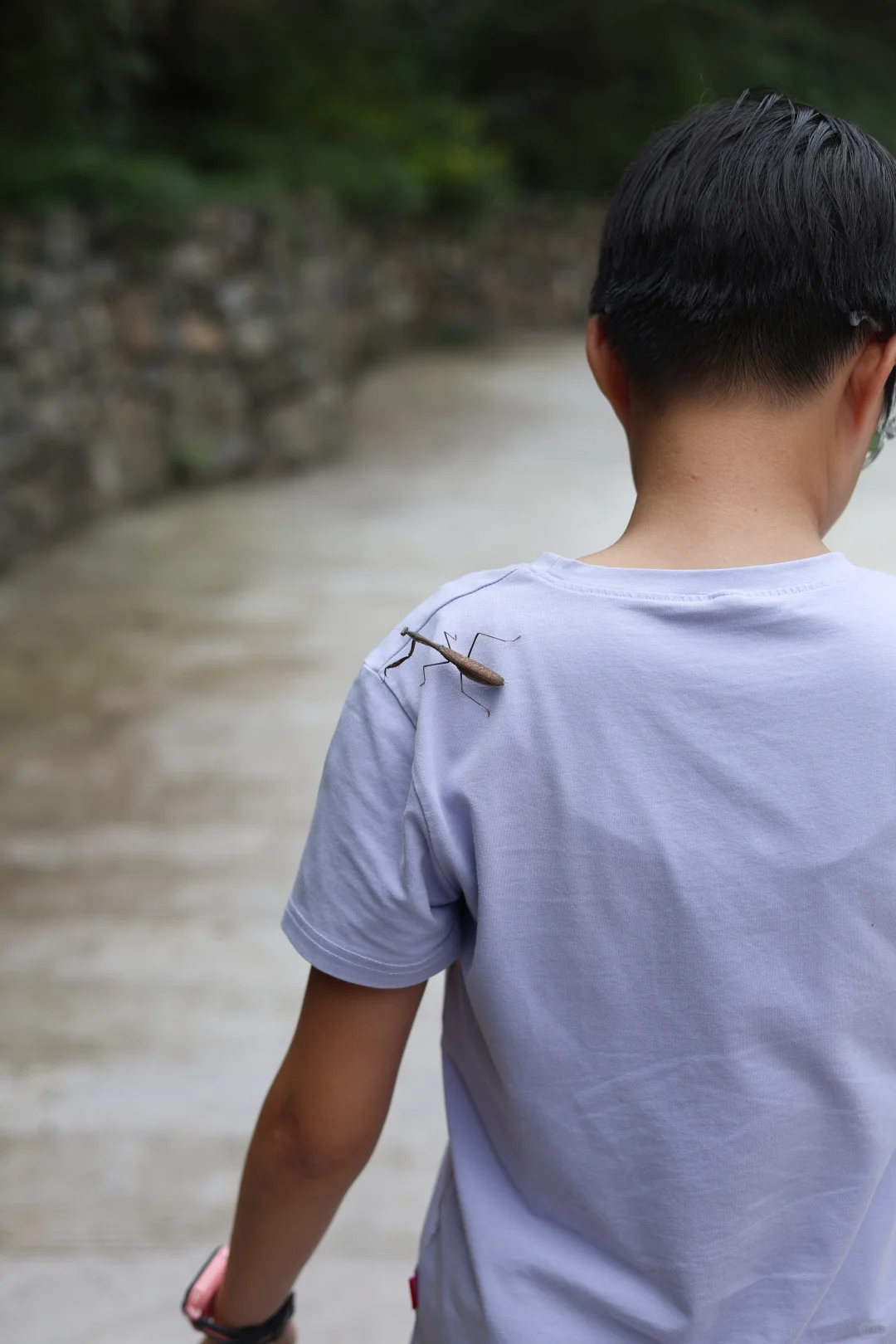 石家庄非常适合遛娃的景区，又添一个