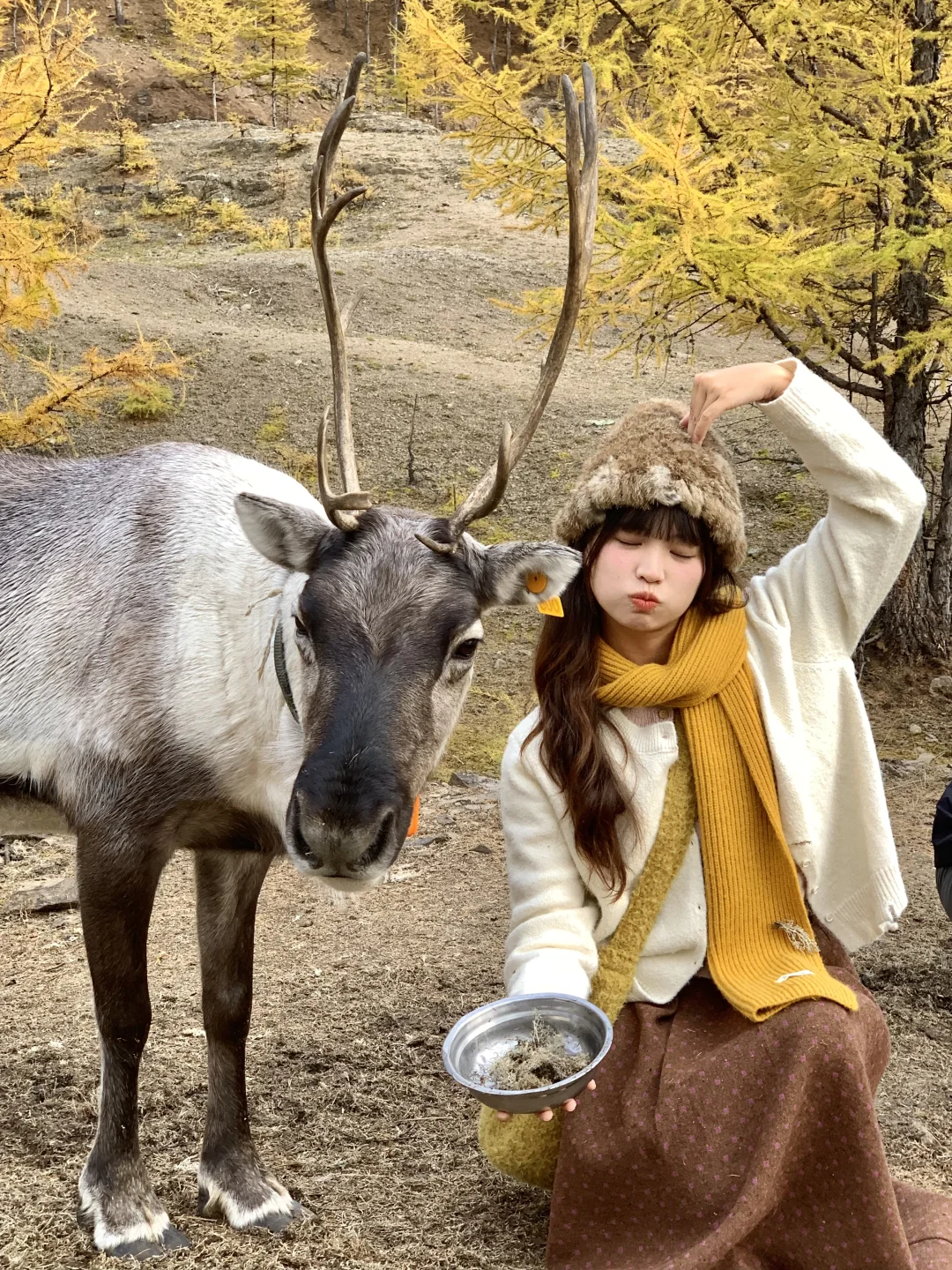 Live实况🍁来呼伦贝尔拍到18张人生照片!!