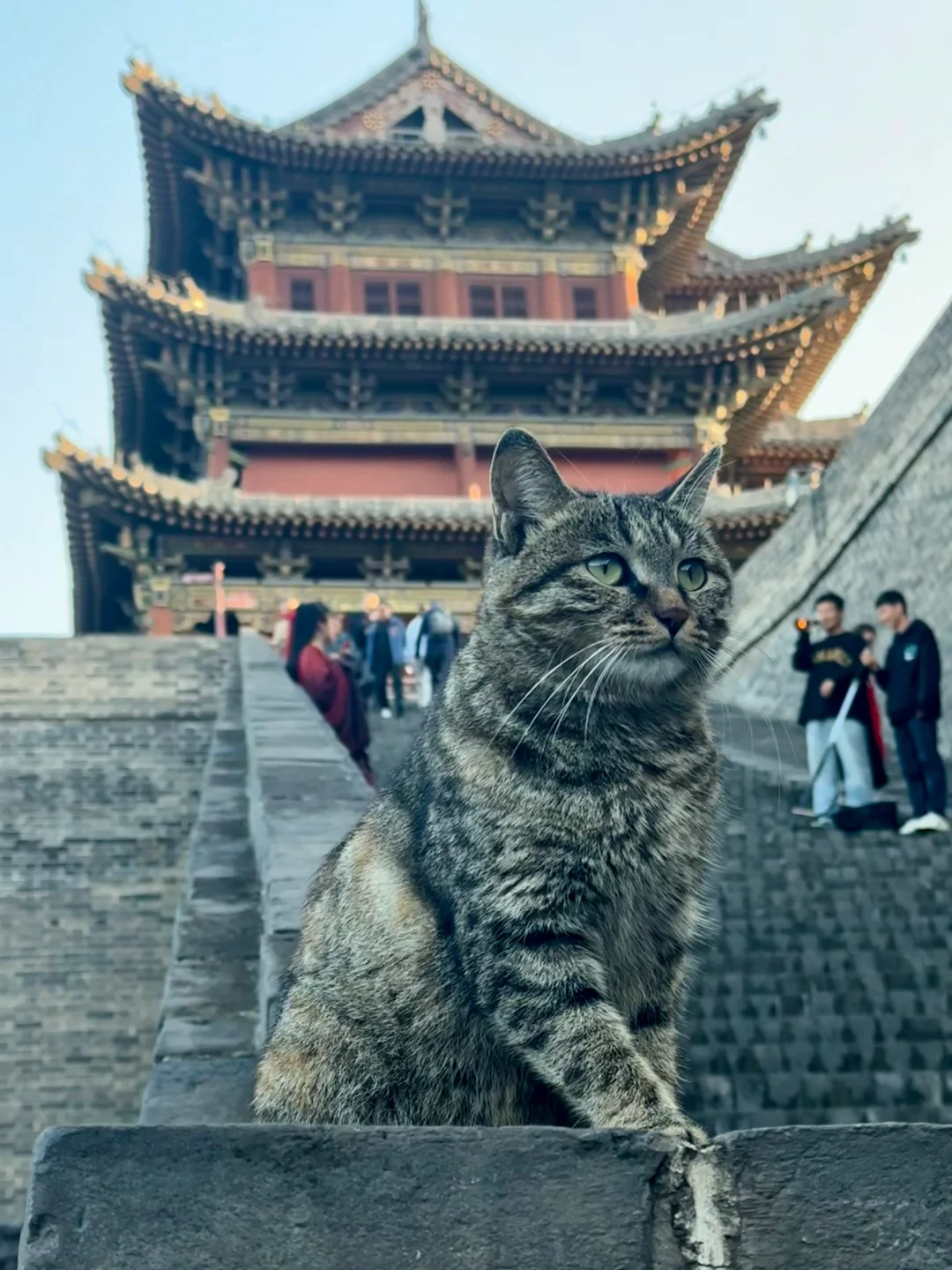 离职旅行第二十四站——大同，你可真有文化呀
