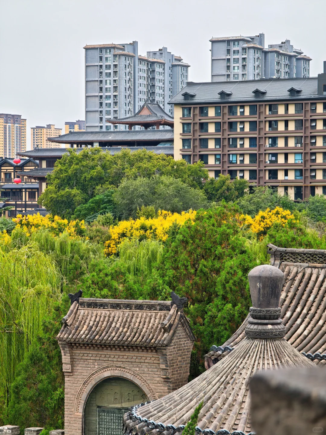 秦始皇原来是邯郸出生的＆丛台公园很美