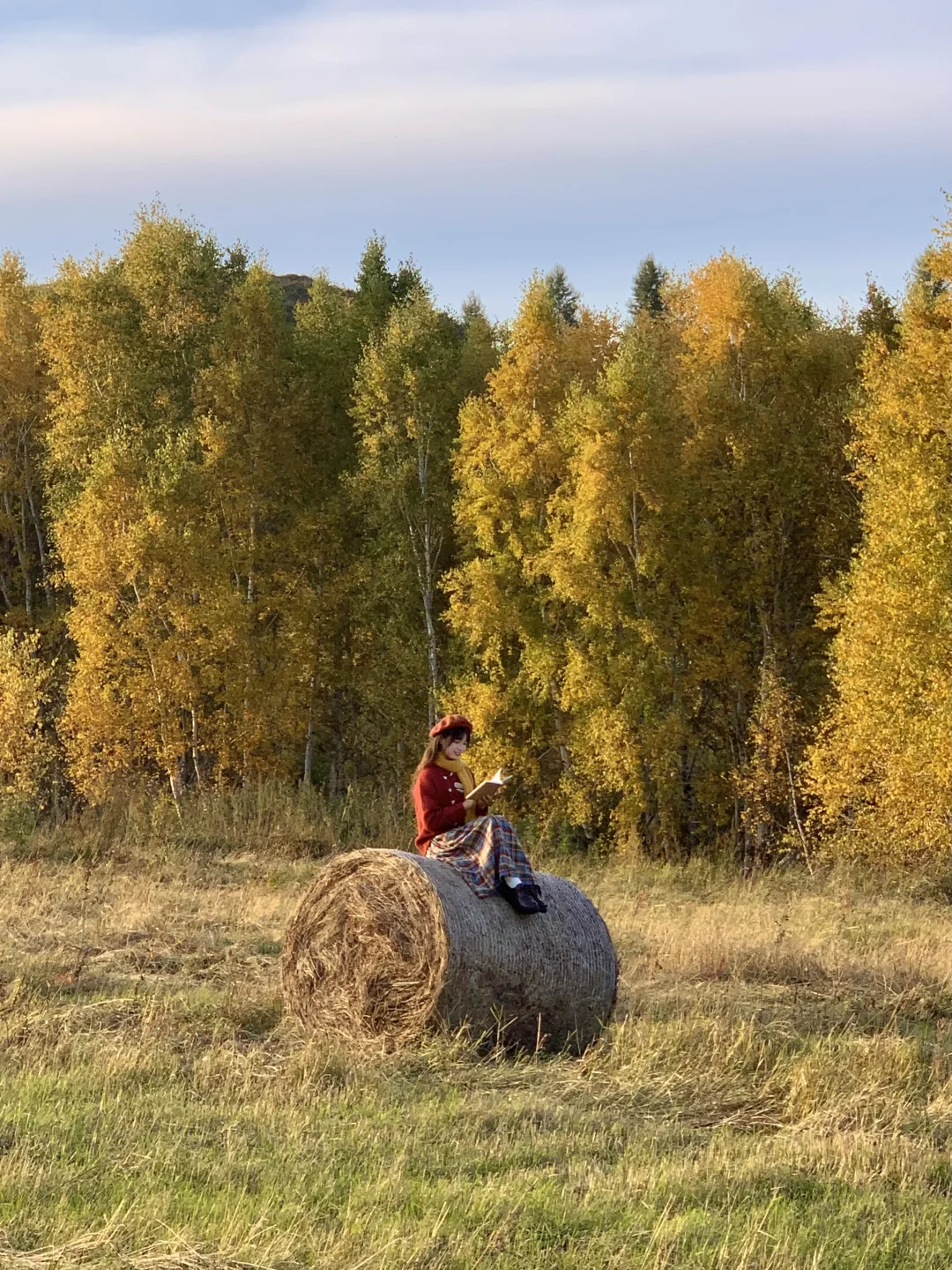 Live实况🍁来呼伦贝尔拍到18张人生照片!!