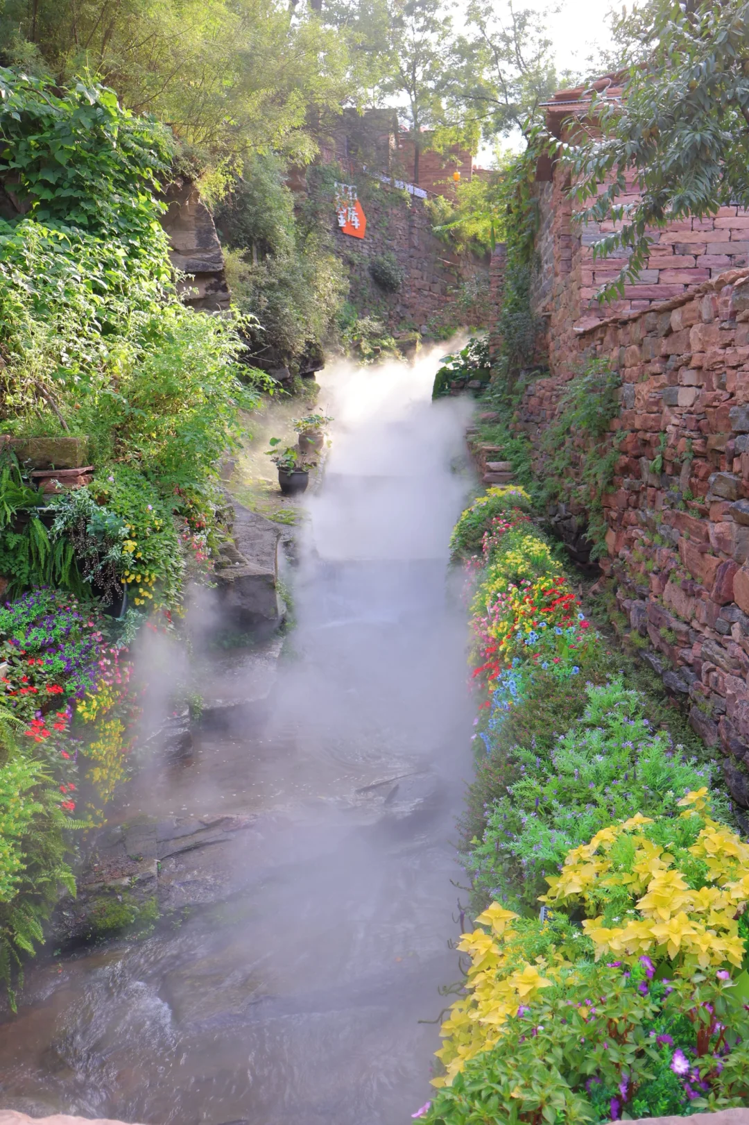 人均20，全程2.5小时左右🚗攻略直出