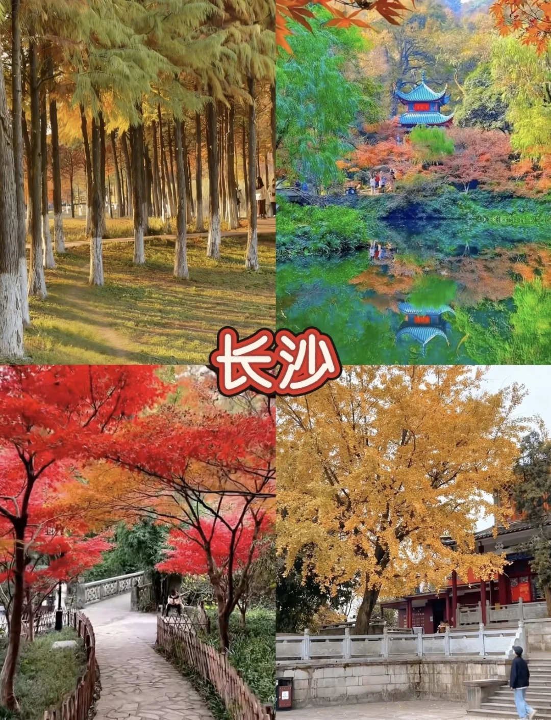 九月十月最适合去的8城！