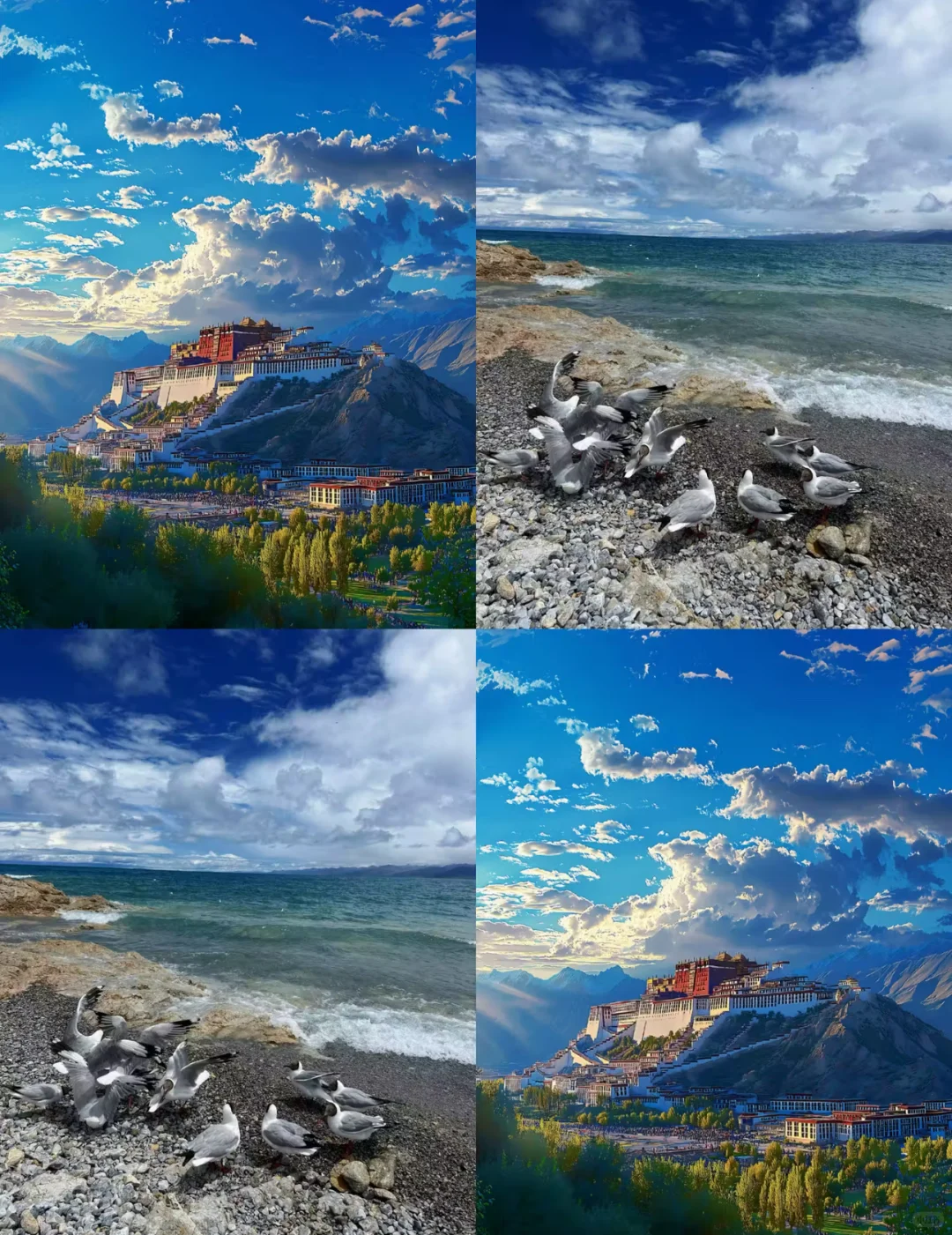 9月🍁适合女生说走就走的🔟个城市