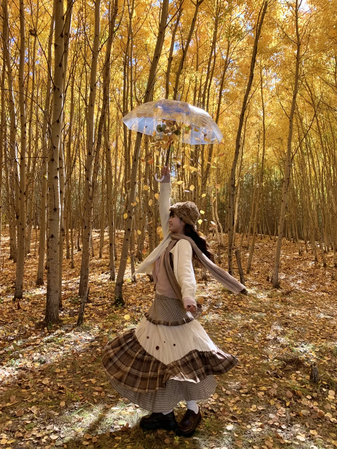 Live实况🍁来呼伦贝尔拍到18张人生照片!!