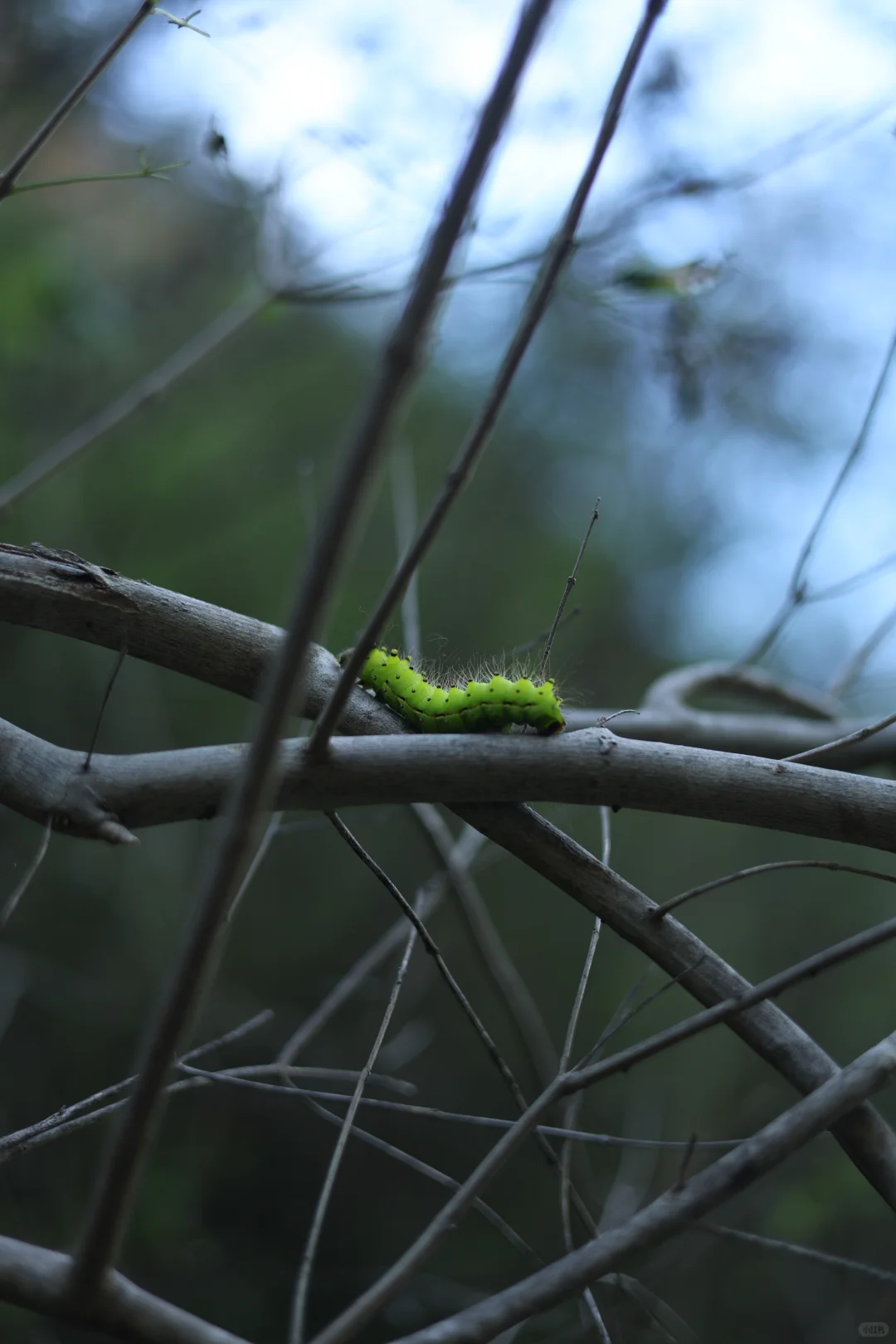 石家庄非常适合遛娃的景区，又添一个