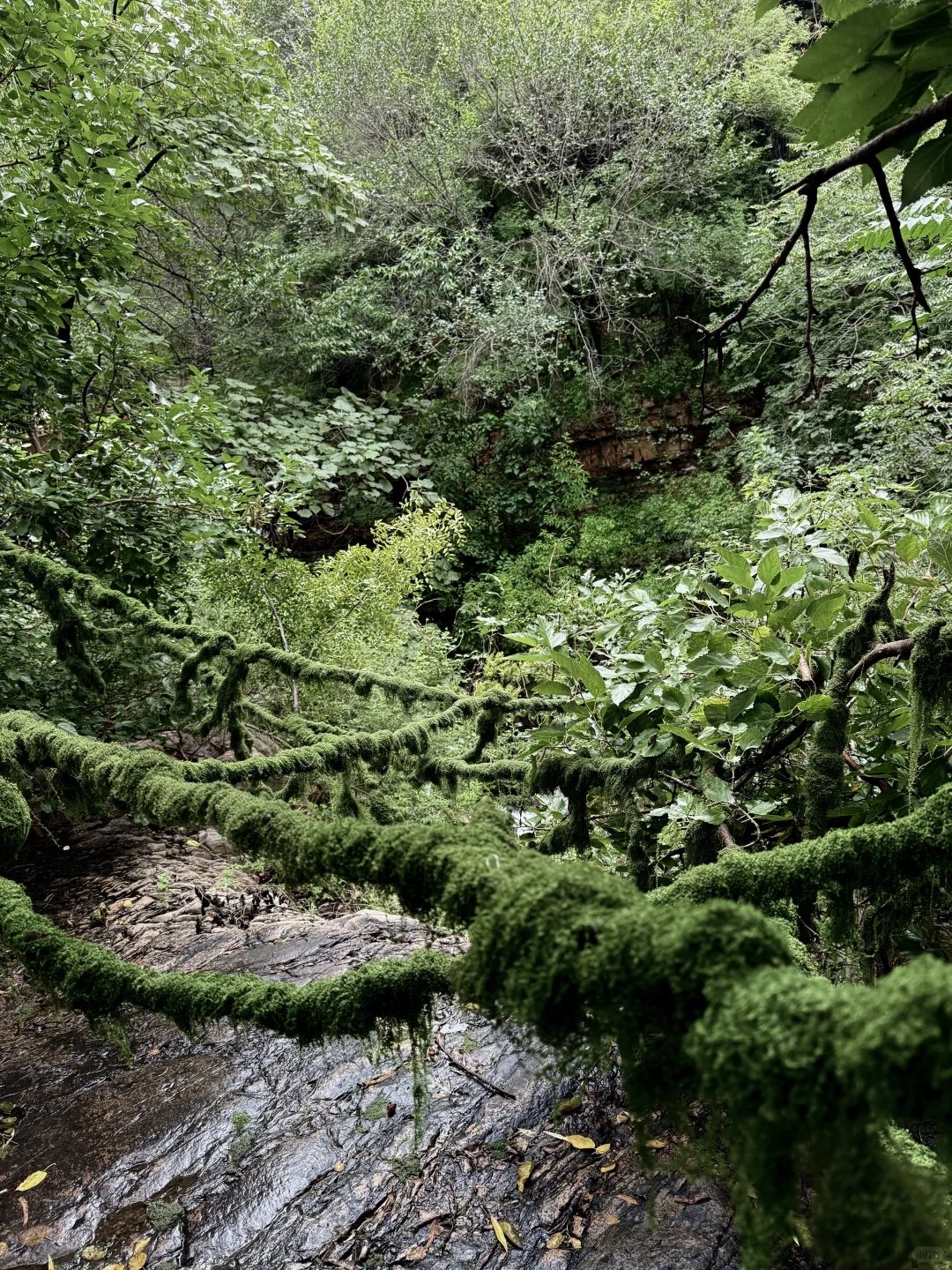 武安你别藏太深!竟然有烟雨江南..