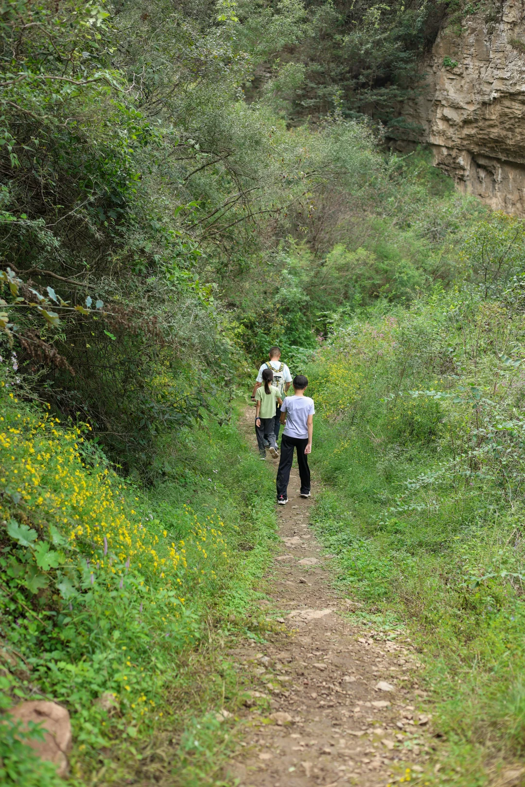 石家庄非常适合遛娃的景区，又添一个
