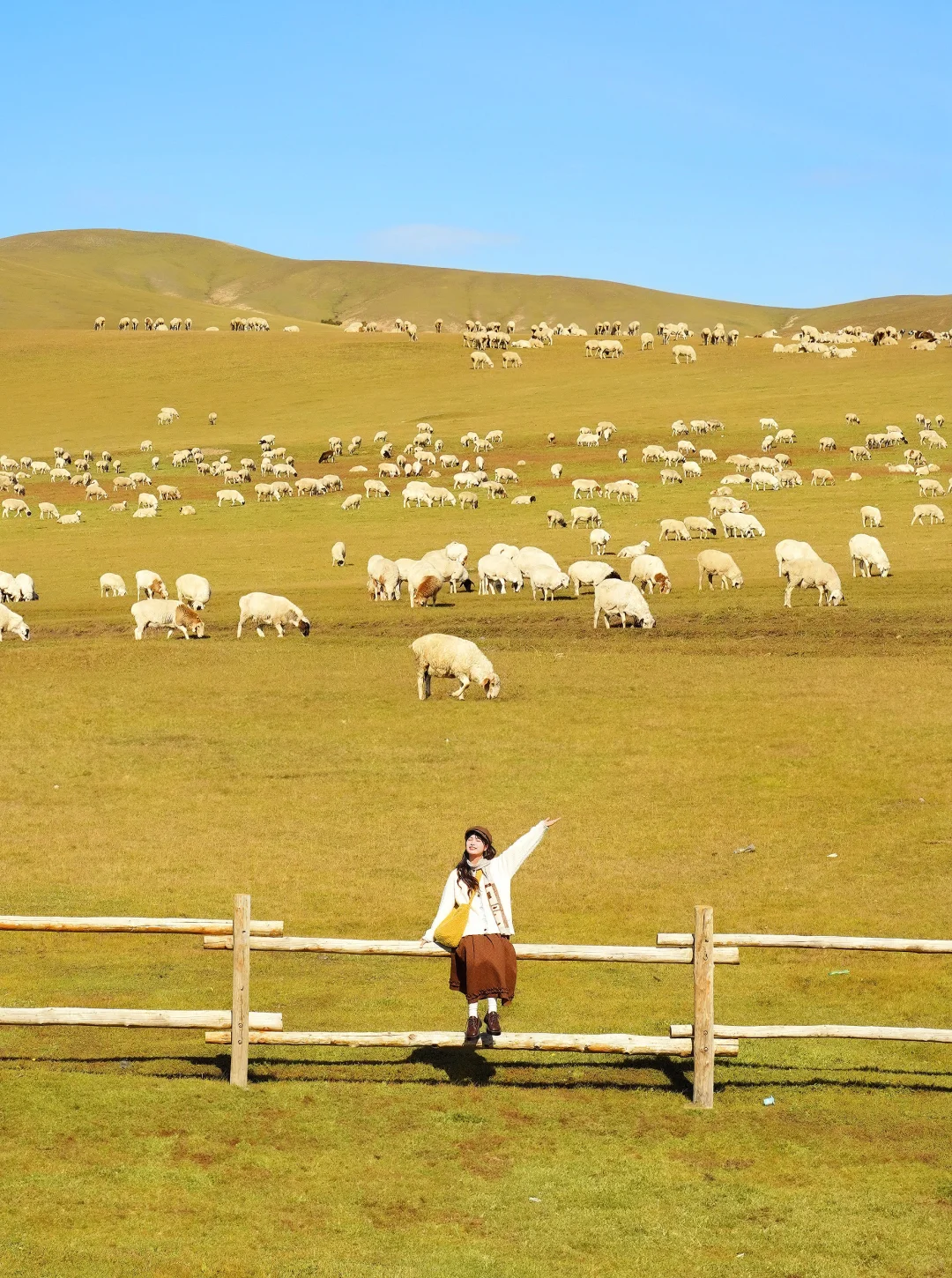 Live实况🍁来呼伦贝尔拍到18张人生照片!!