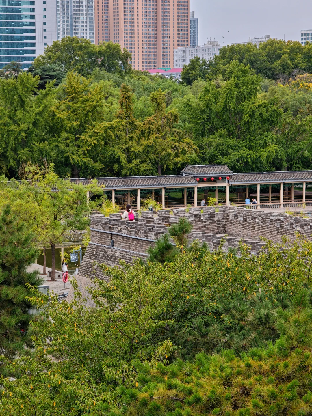 秦始皇原来是邯郸出生的＆丛台公园很美