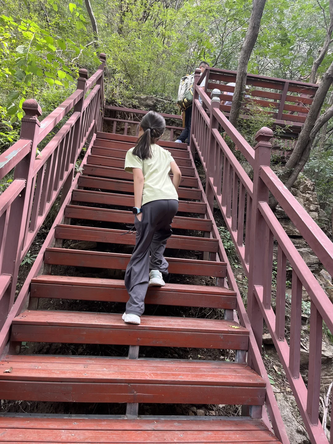 石家庄非常适合遛娃的景区，又添一个