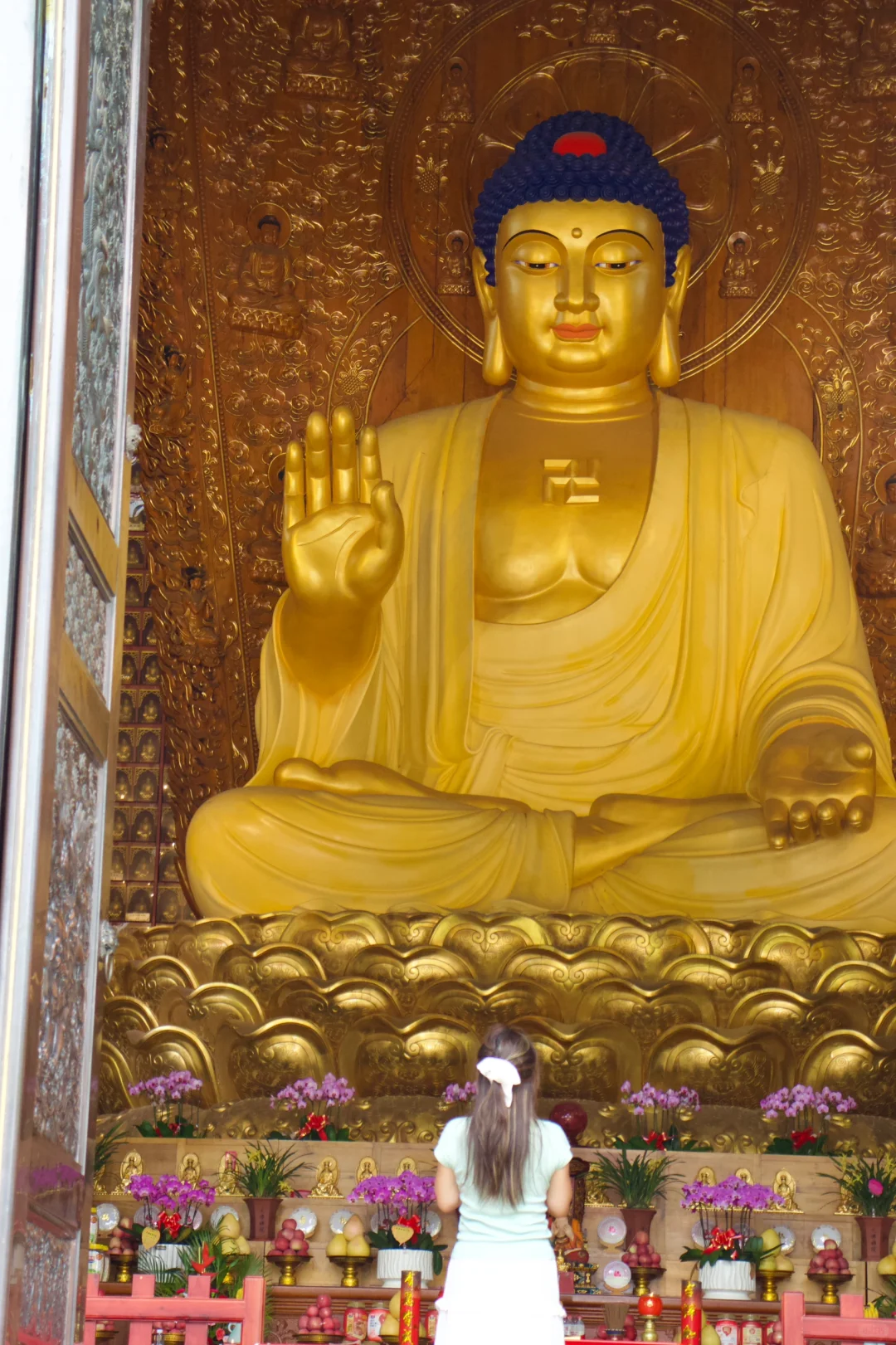 来峨眉山一定不要错过这个免费4A级景区