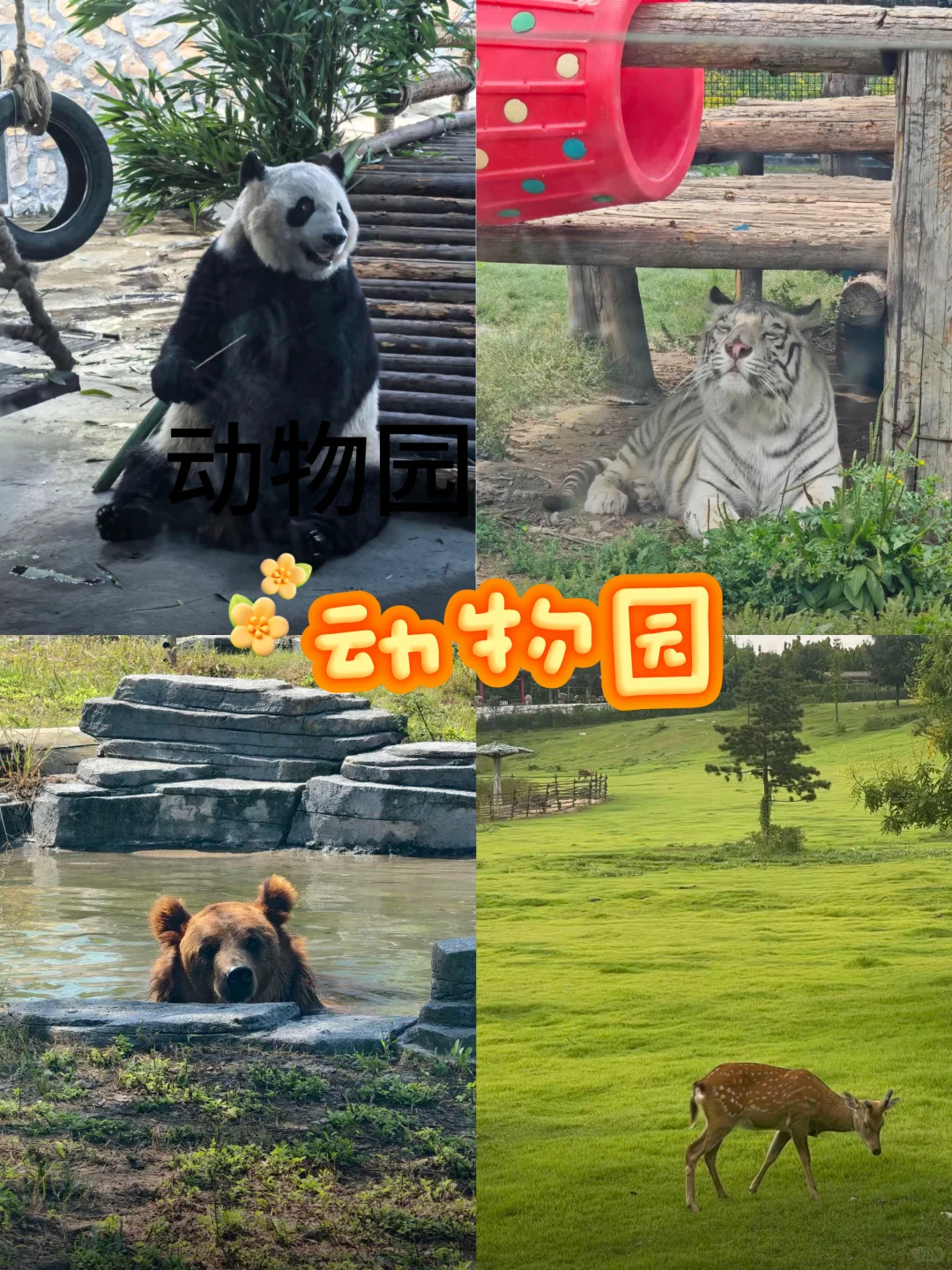 国庆来唐山必打卡的六个景点!