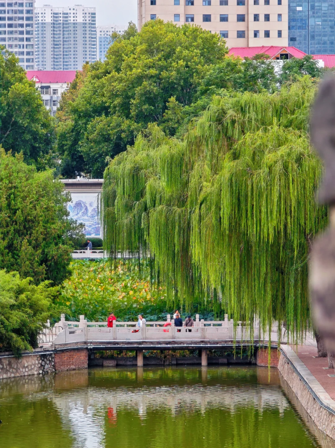 秦始皇原来是邯郸出生的＆丛台公园很美