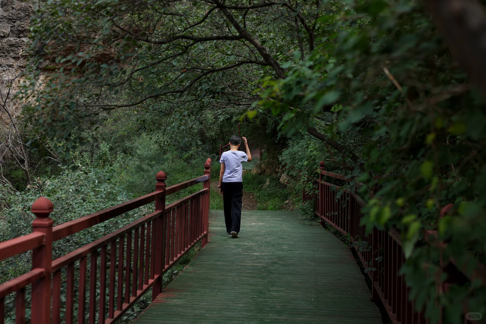 石家庄非常适合遛娃的景区，又添一个