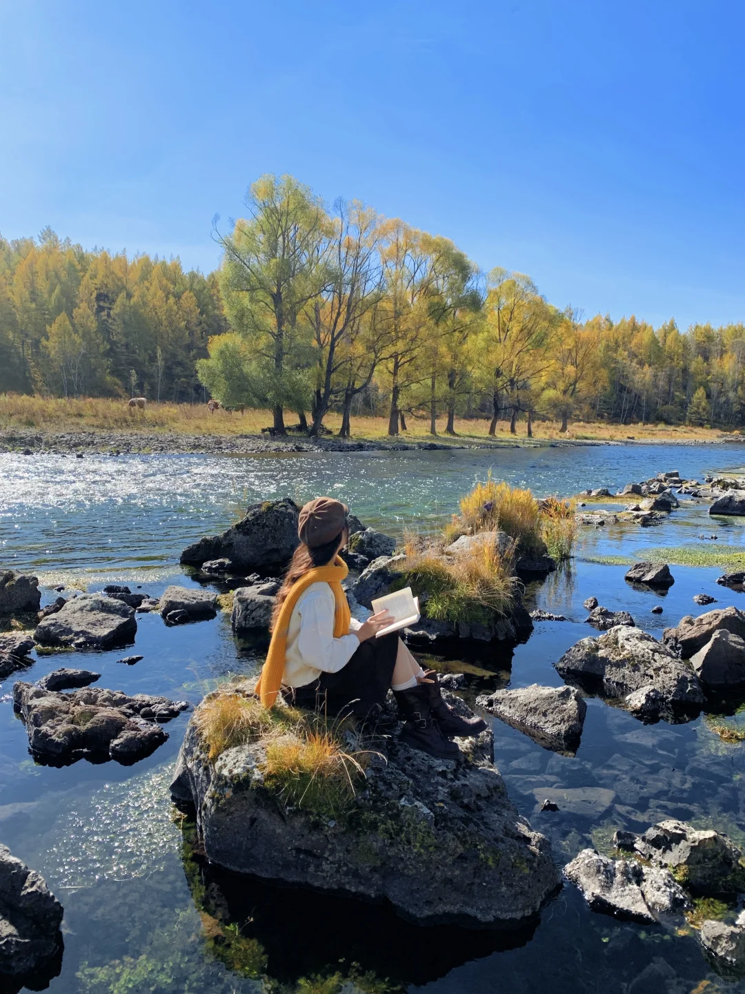 Live实况🍁来呼伦贝尔拍到18张人生照片!!