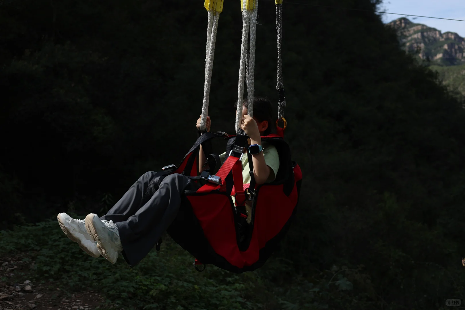 石家庄非常适合遛娃的景区，又添一个