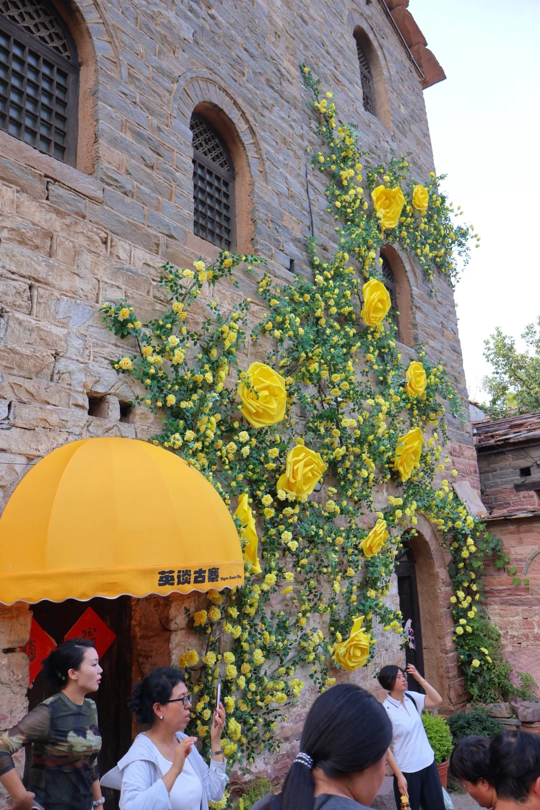 人均20，全程2.5小时左右🚗攻略直出