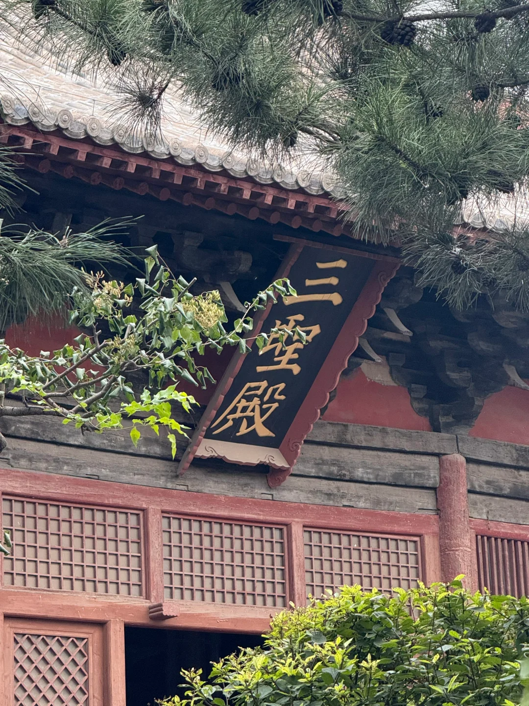 离职旅行第二十四站——大同，你可真有文化呀