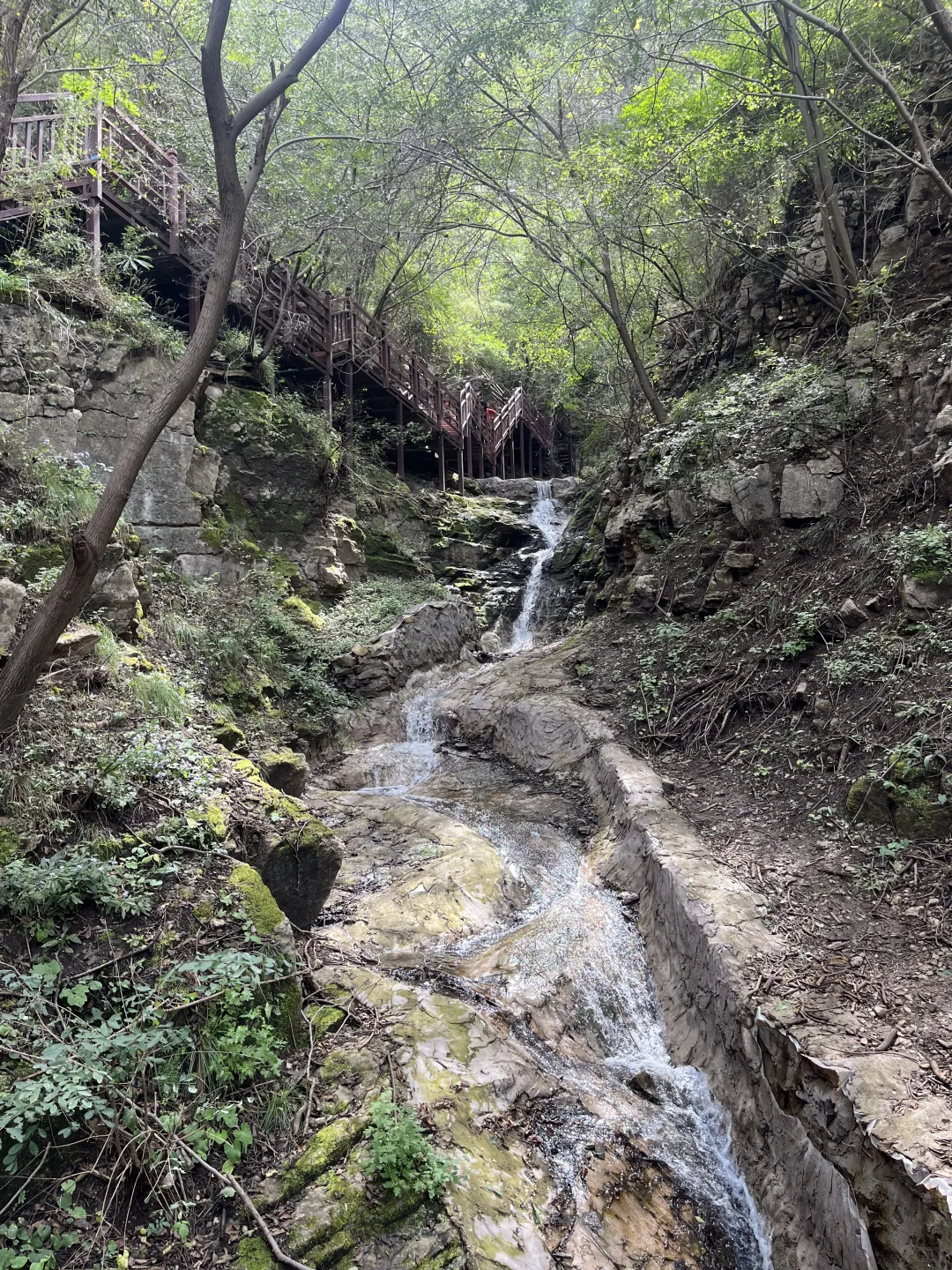 石家庄非常适合遛娃的景区，又添一个