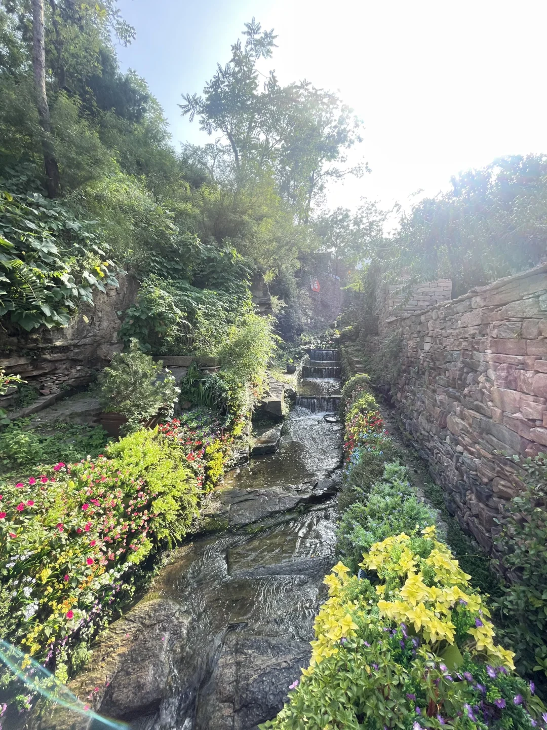 人均20，全程2.5小时左右🚗攻略直出