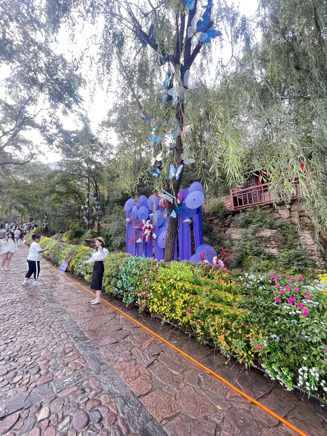 人均20，全程2.5小时左右🚗攻略直出