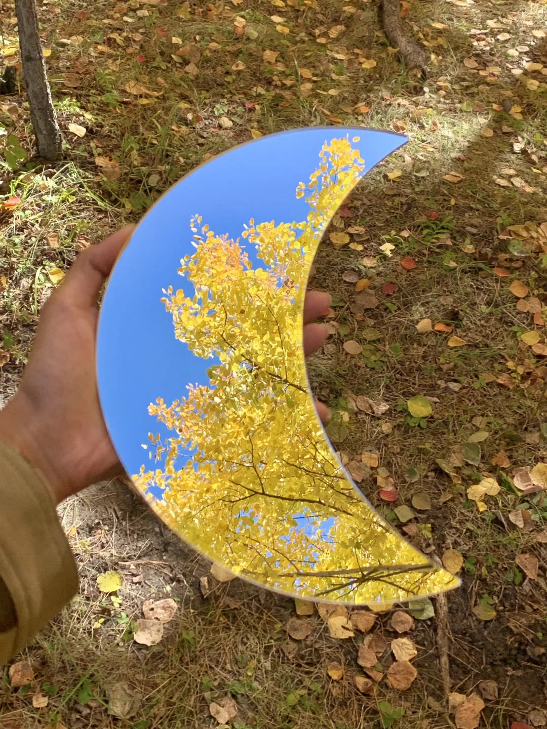 Live实况🍁来呼伦贝尔拍到18张人生照片!!