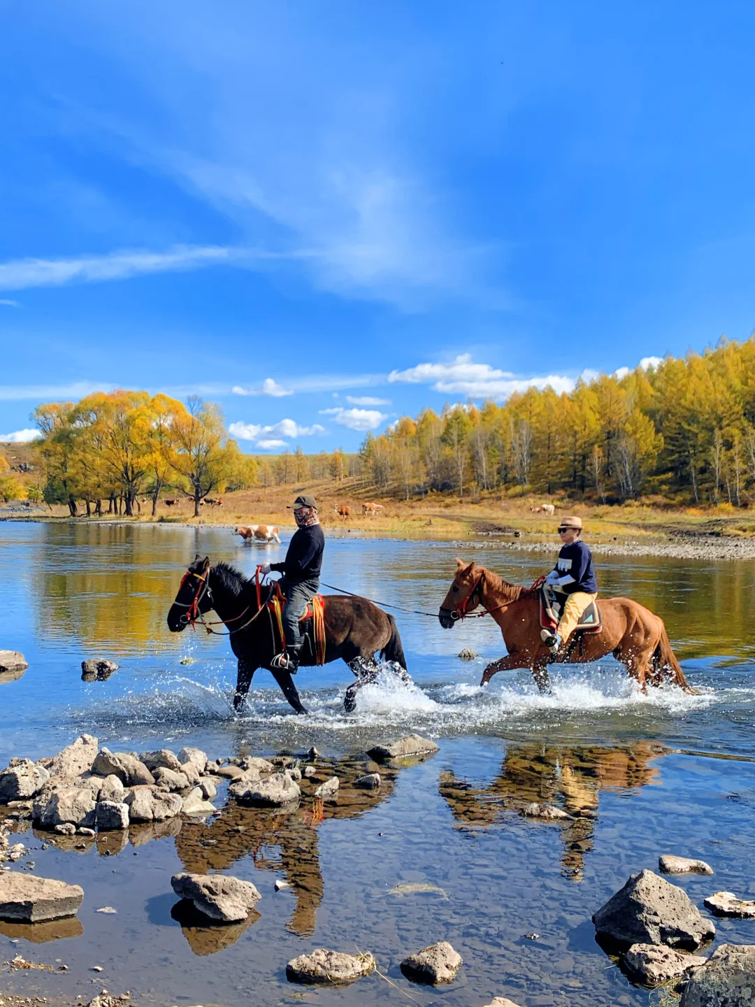 Live实况🍁来呼伦贝尔拍到18张人生照片!!