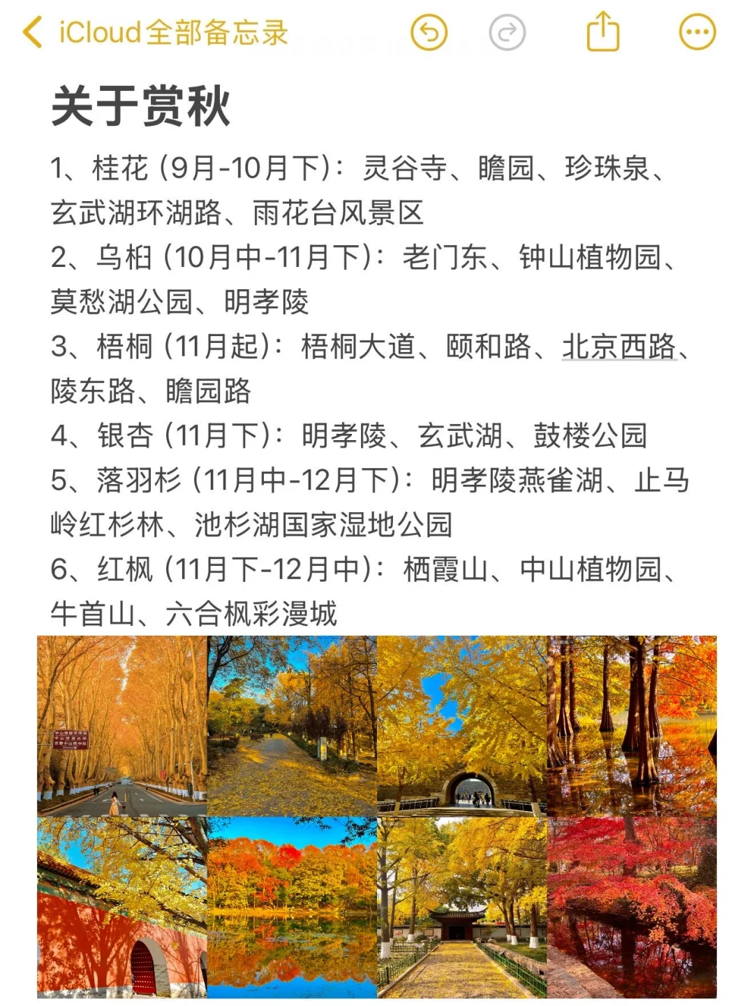 南京景点锐评｜个人真实感受