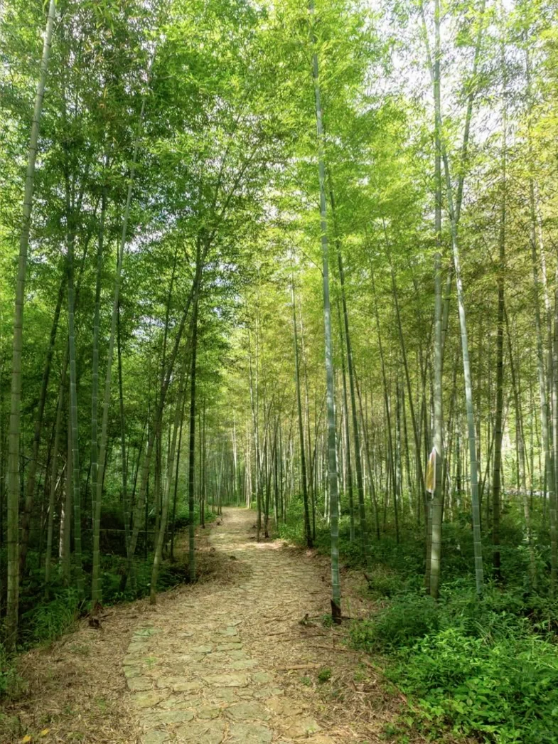 国庆中秋｜1天1夜攻略（熬夜整理版