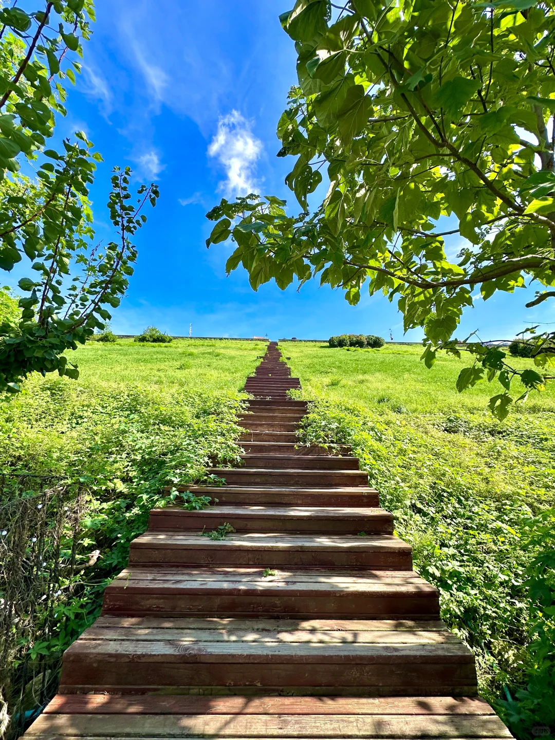 威海初秋一些能量场很足的地方（合集）