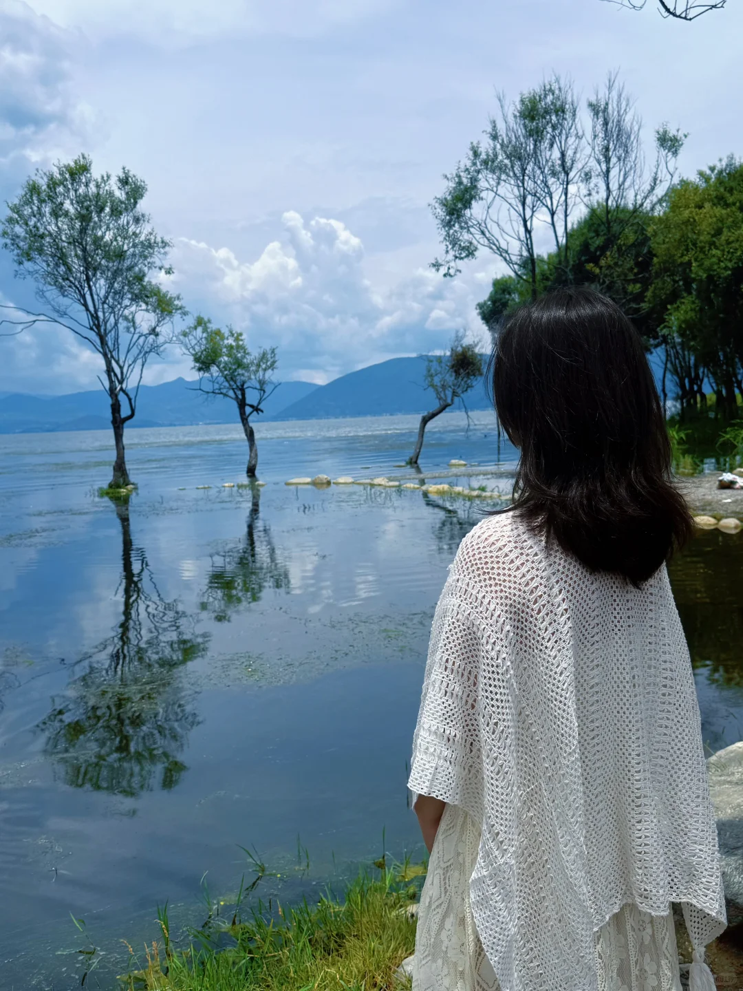 西双版纳vs大理🥰