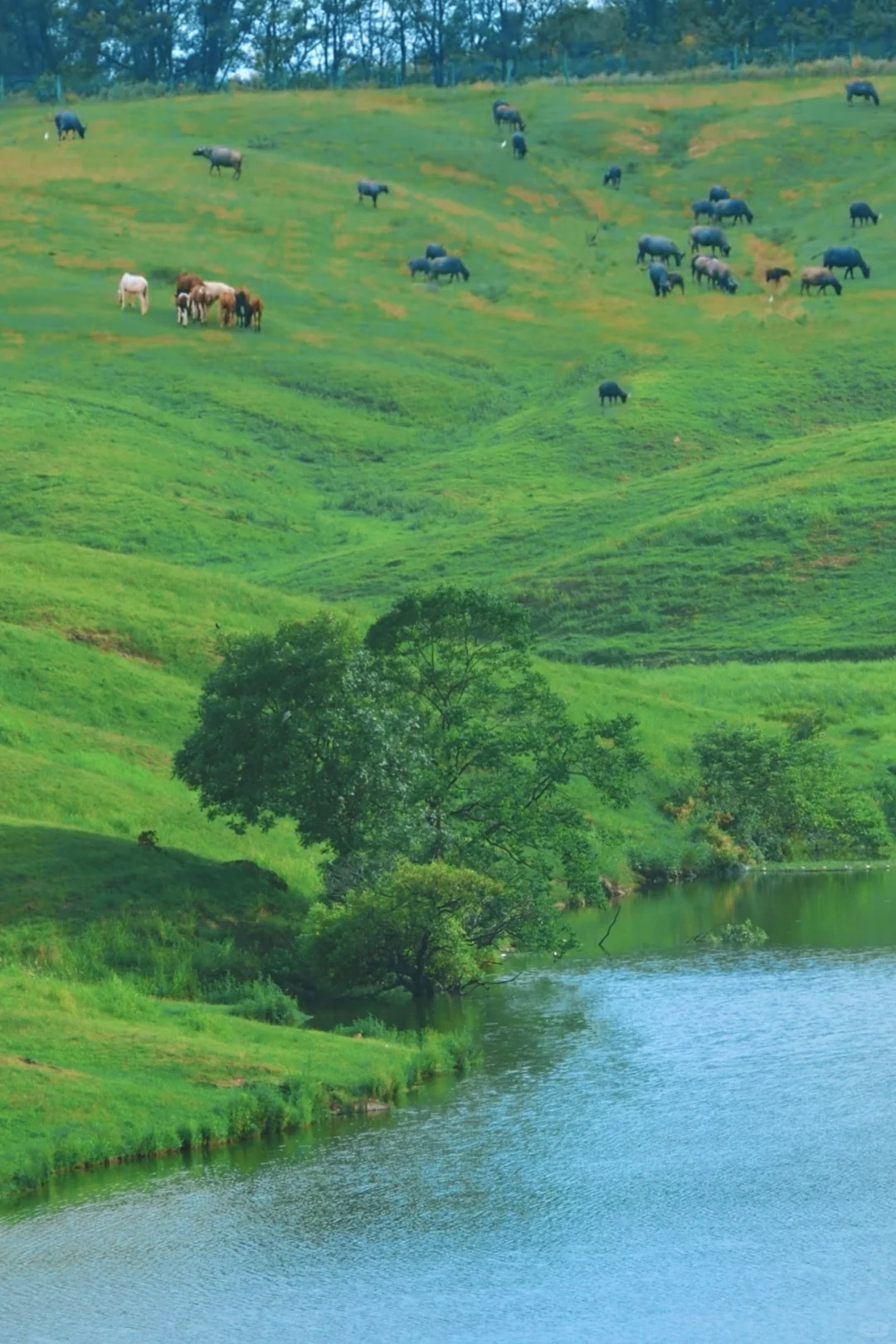国庆反向游‼️安徽这条小众宝藏路线🚗超好玩