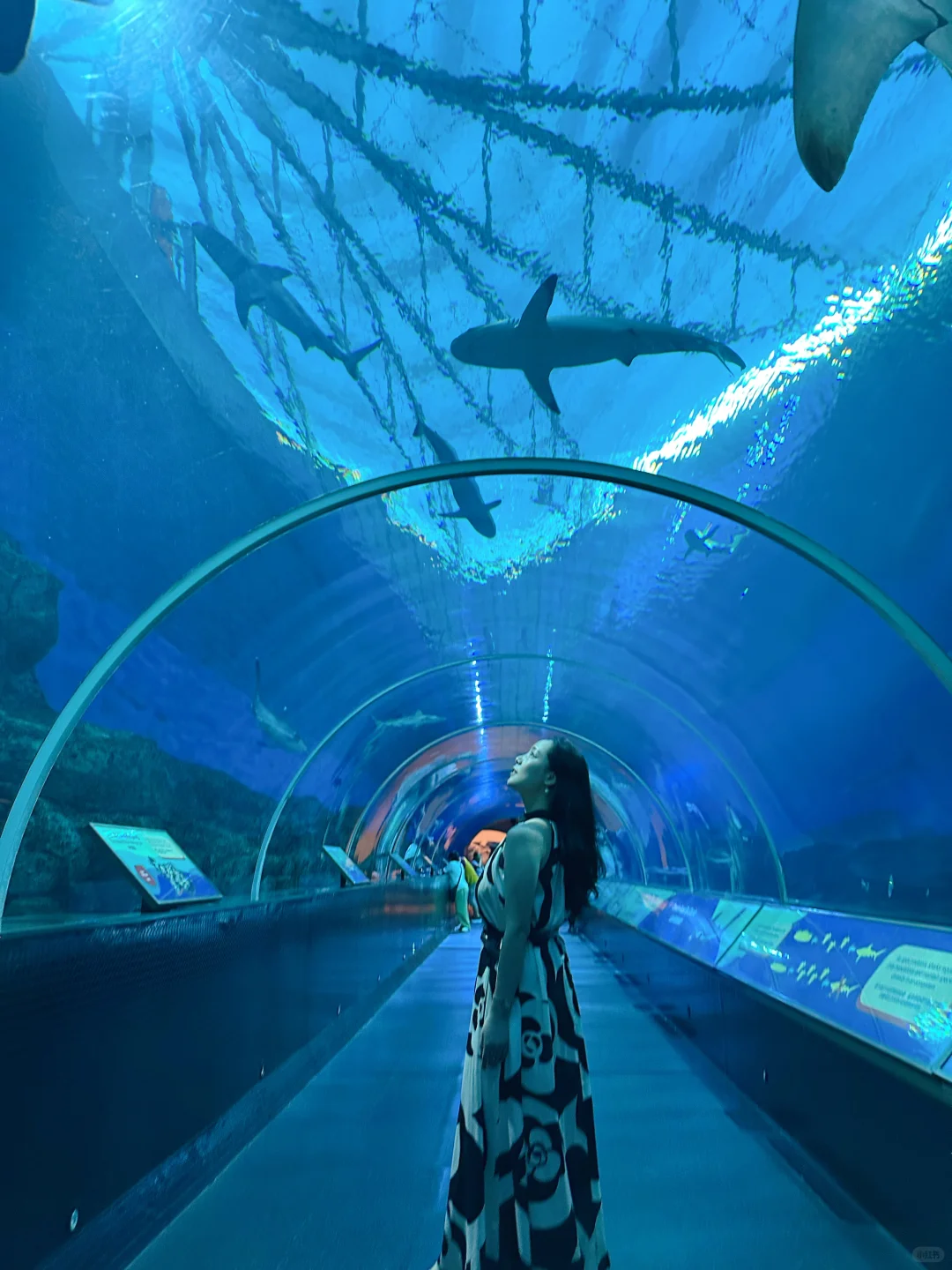 新加坡旅行6天5晚跟着这个路线玩，不踩雷‼️