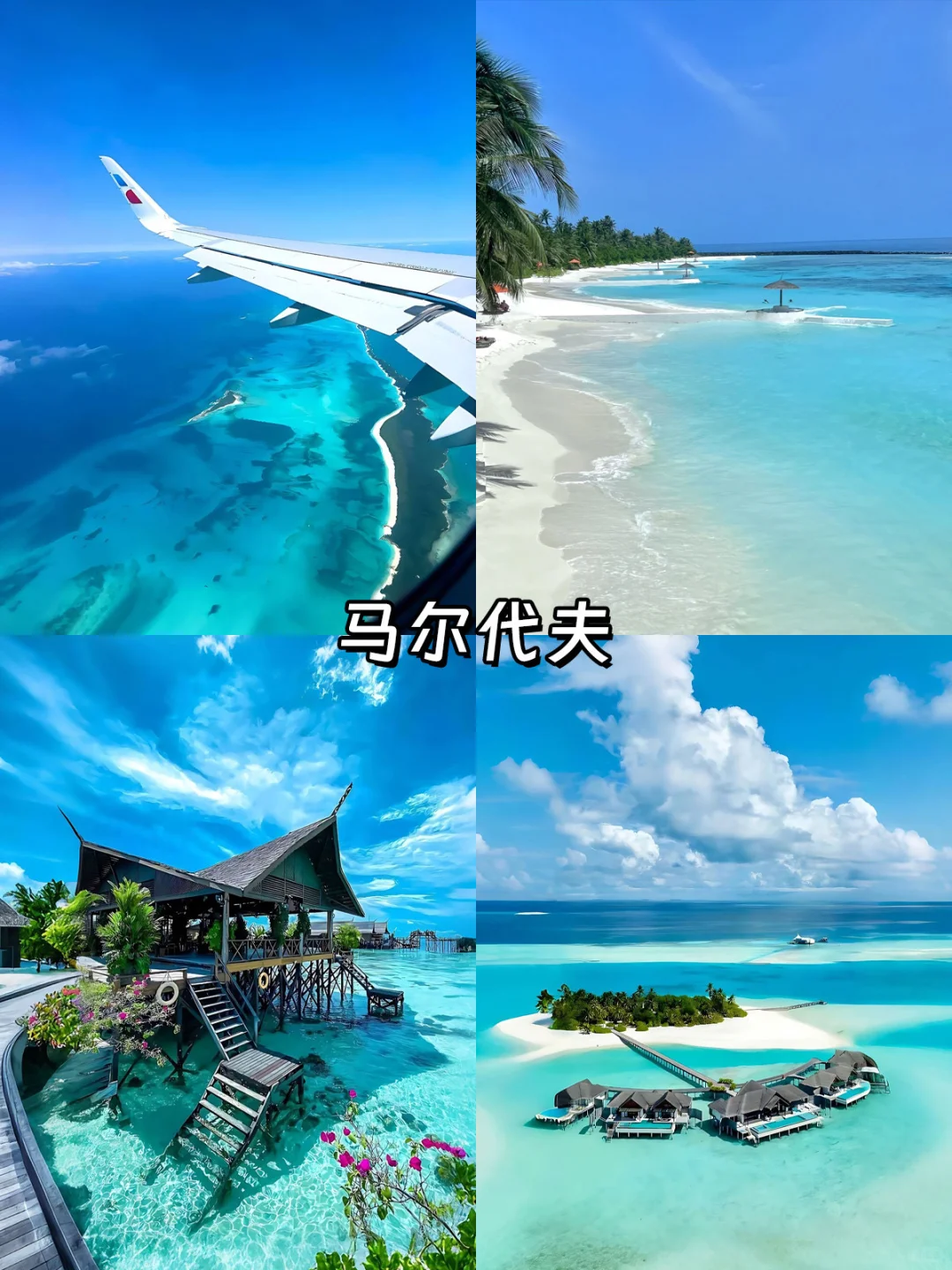 免签海岛Top9🏝️说走就走的海岛清单来啦